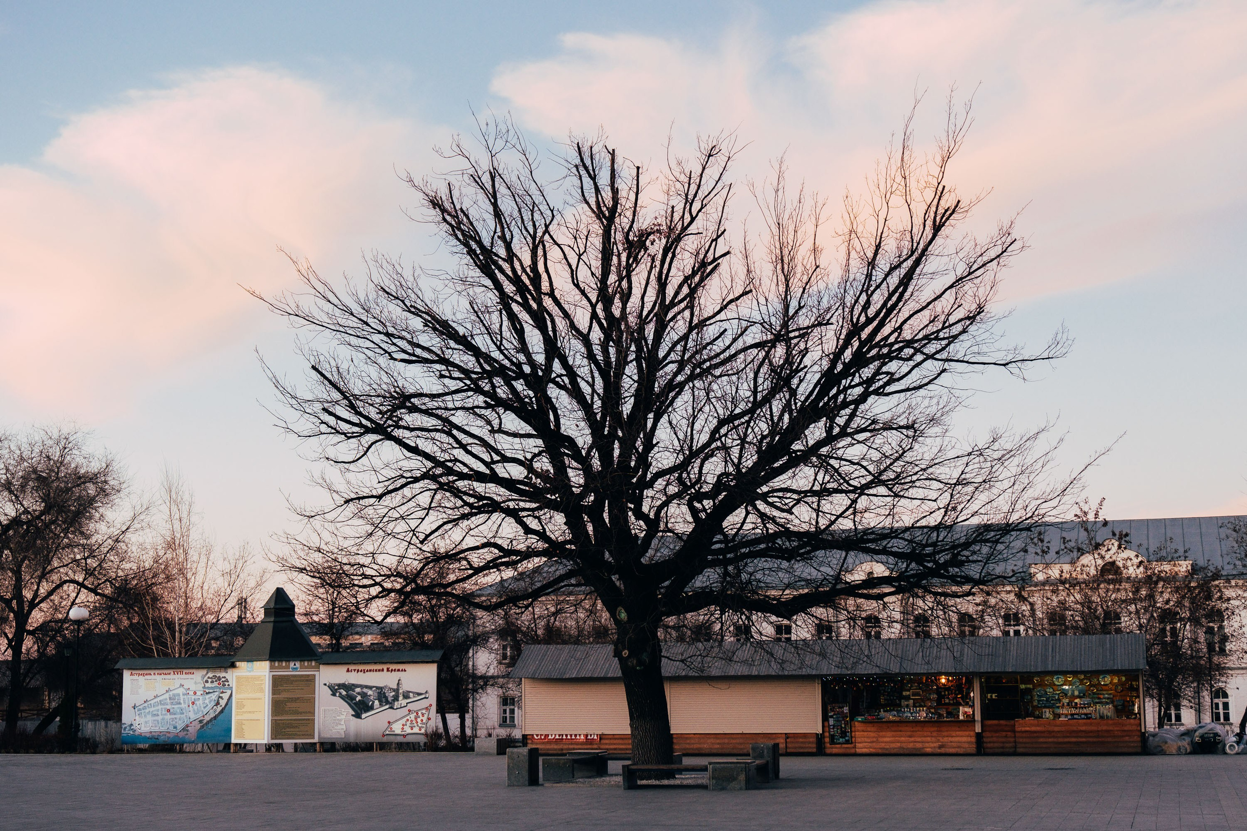 Розовый закат. Фотограф Анатолий Деникин