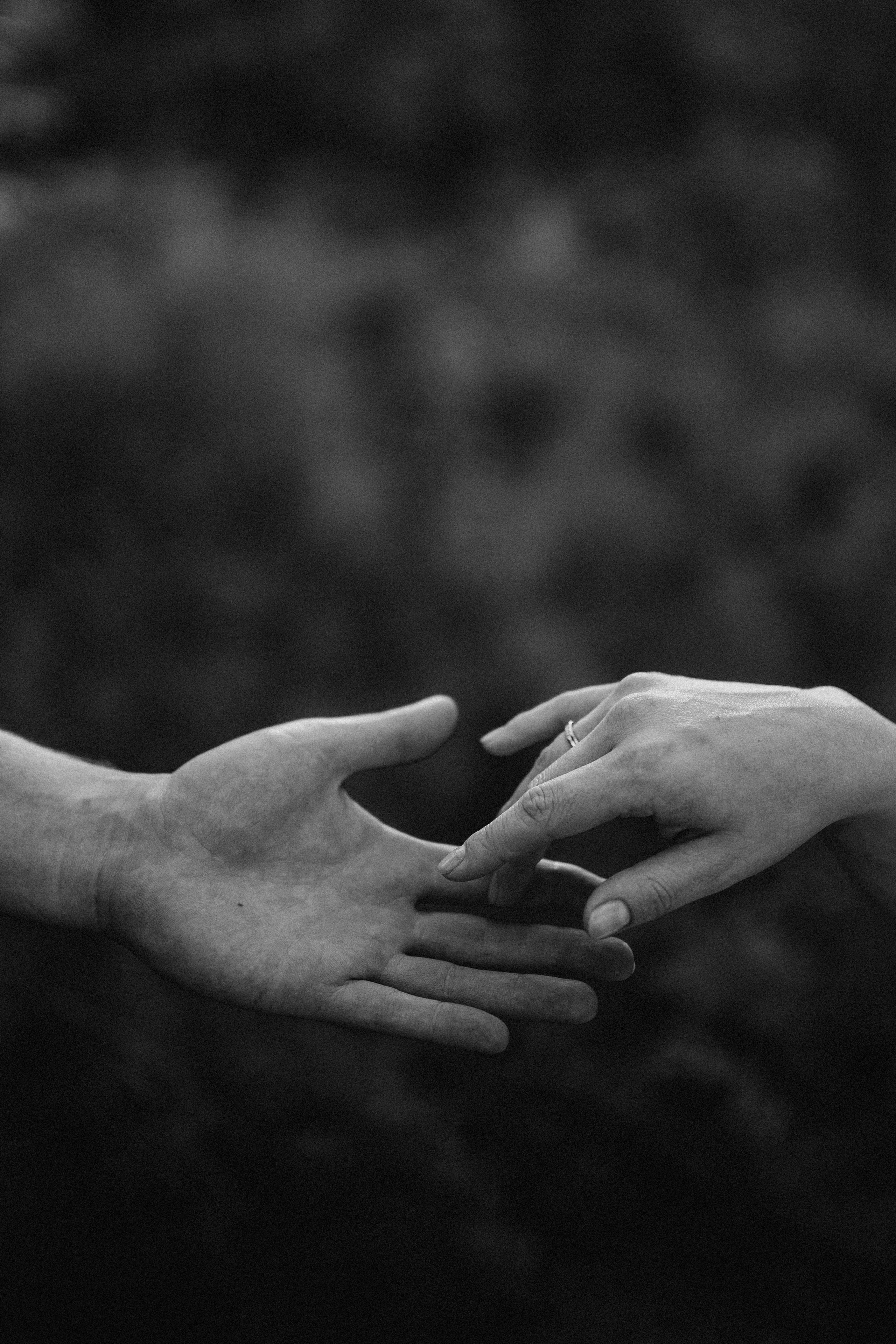 Свадьба в лесу. Семейный свадебный фотограф Екатеринбург Первоуральск Шарнина Алёна