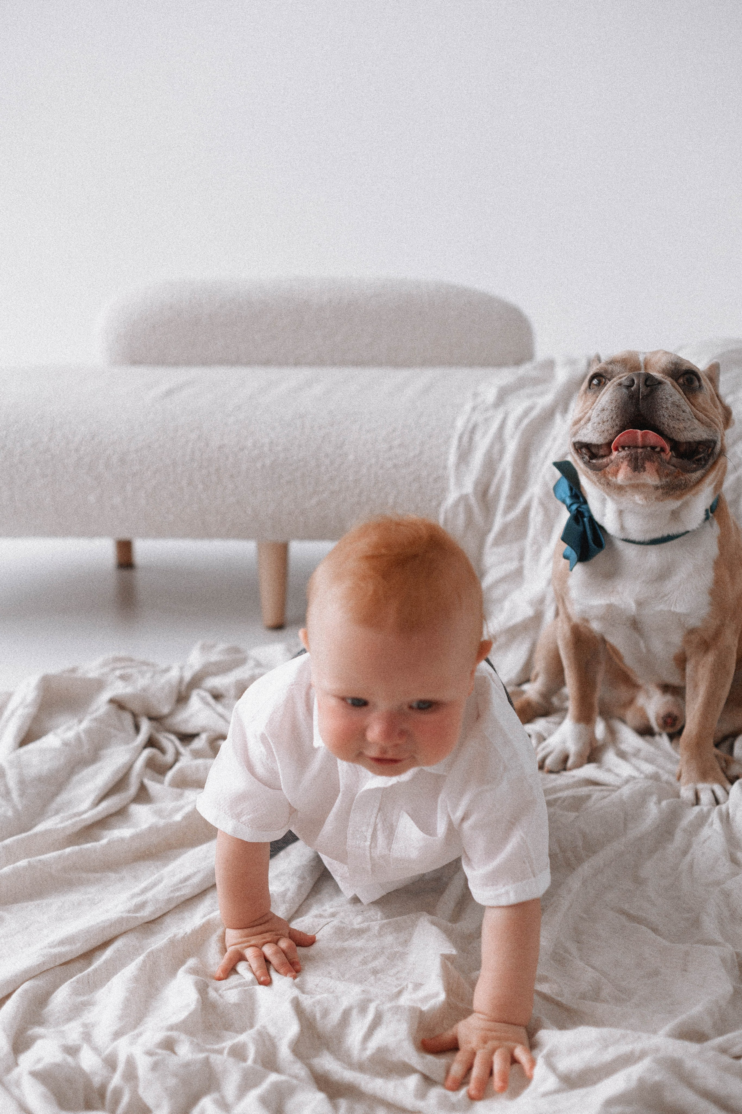 Миша & Остин. Свадебный и портретный фотограф Соломко Диана