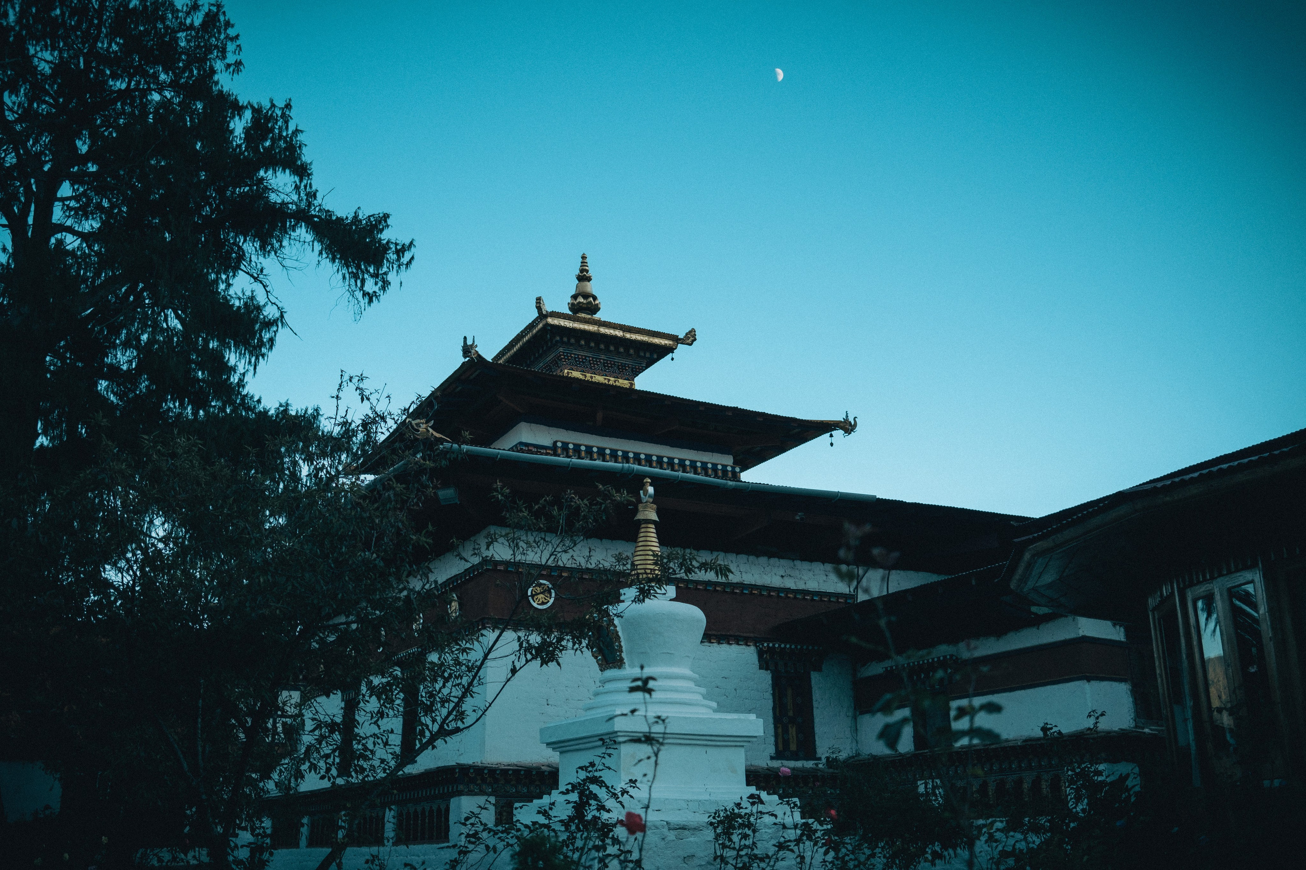 Bhutan. Dmitry Ippolitov