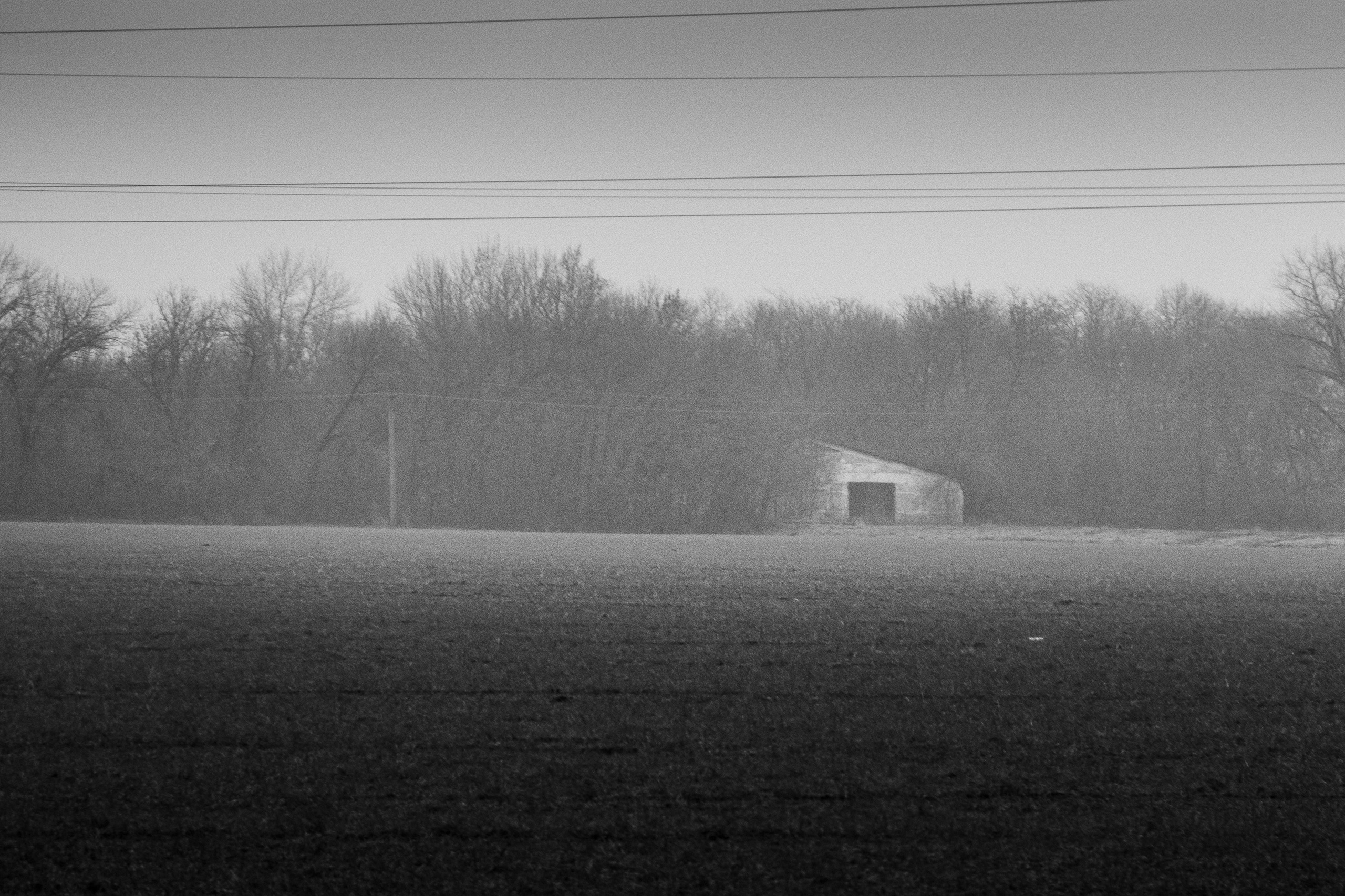 Ферма. Фотограф Антон Денисенко: Портрет, Документалистика, Пейзаж. Москва