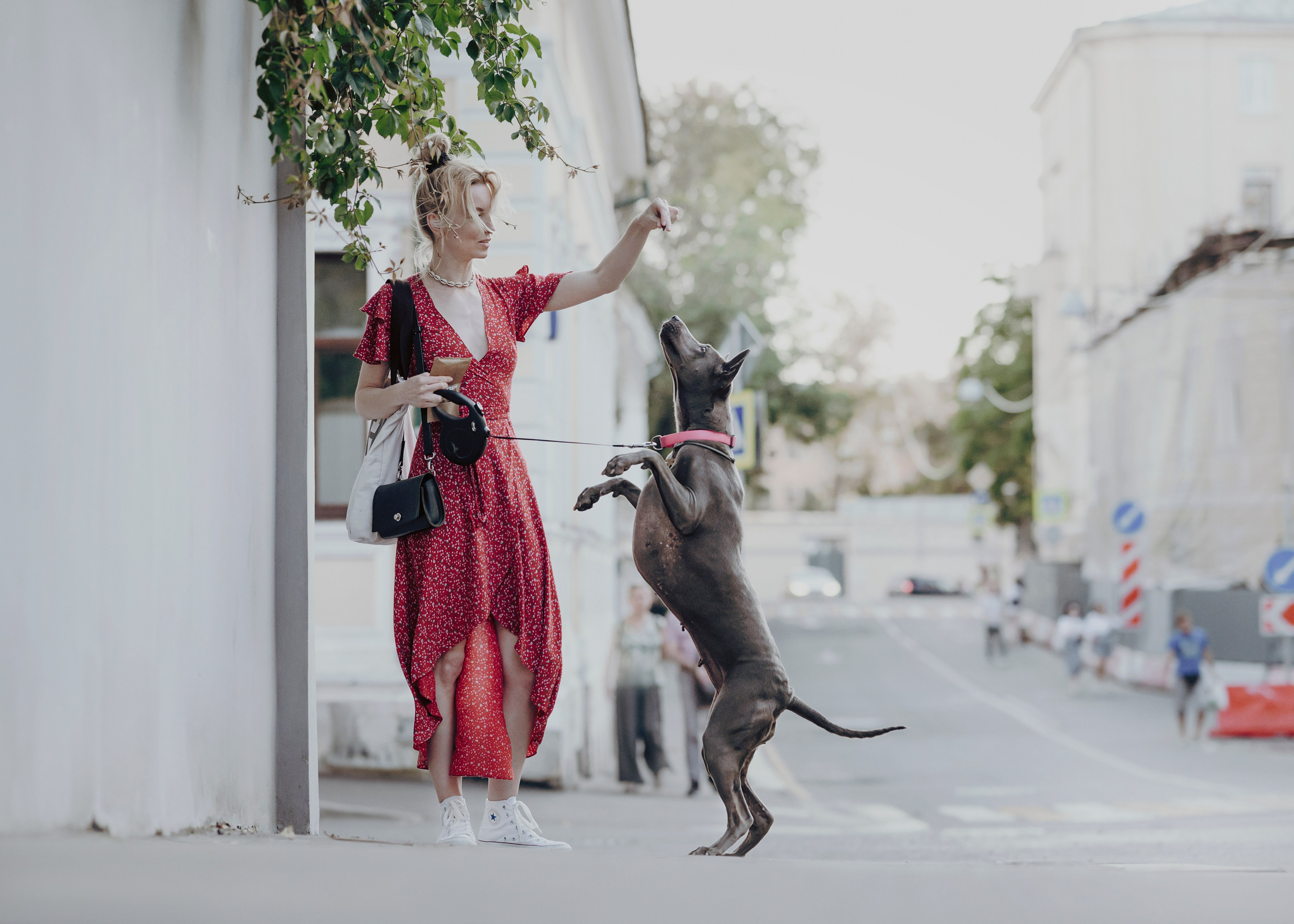 Шарма. Фотограф- анималист Александра Матвеева
