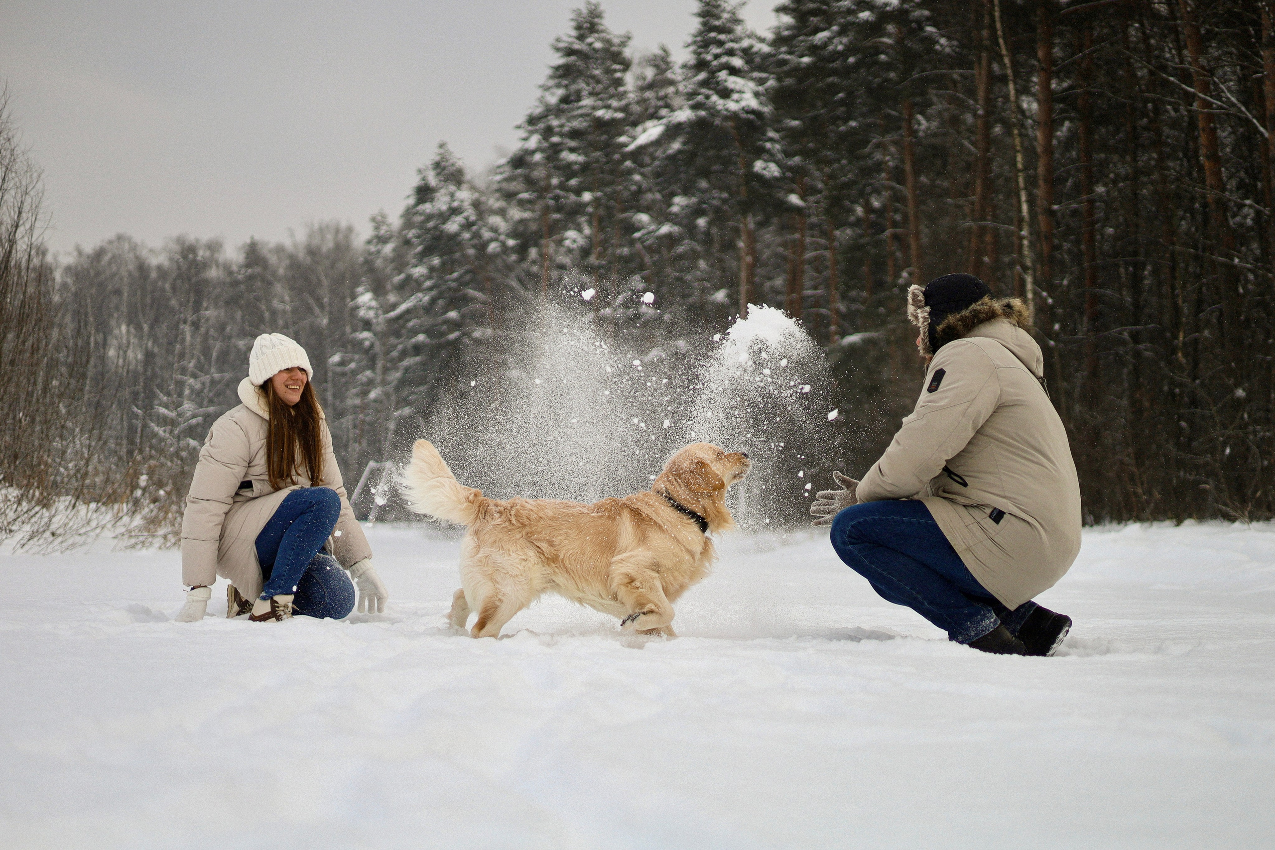 Стивен, Лена и Миша. Фотограф-анималист Ксения Шевцова|Москва