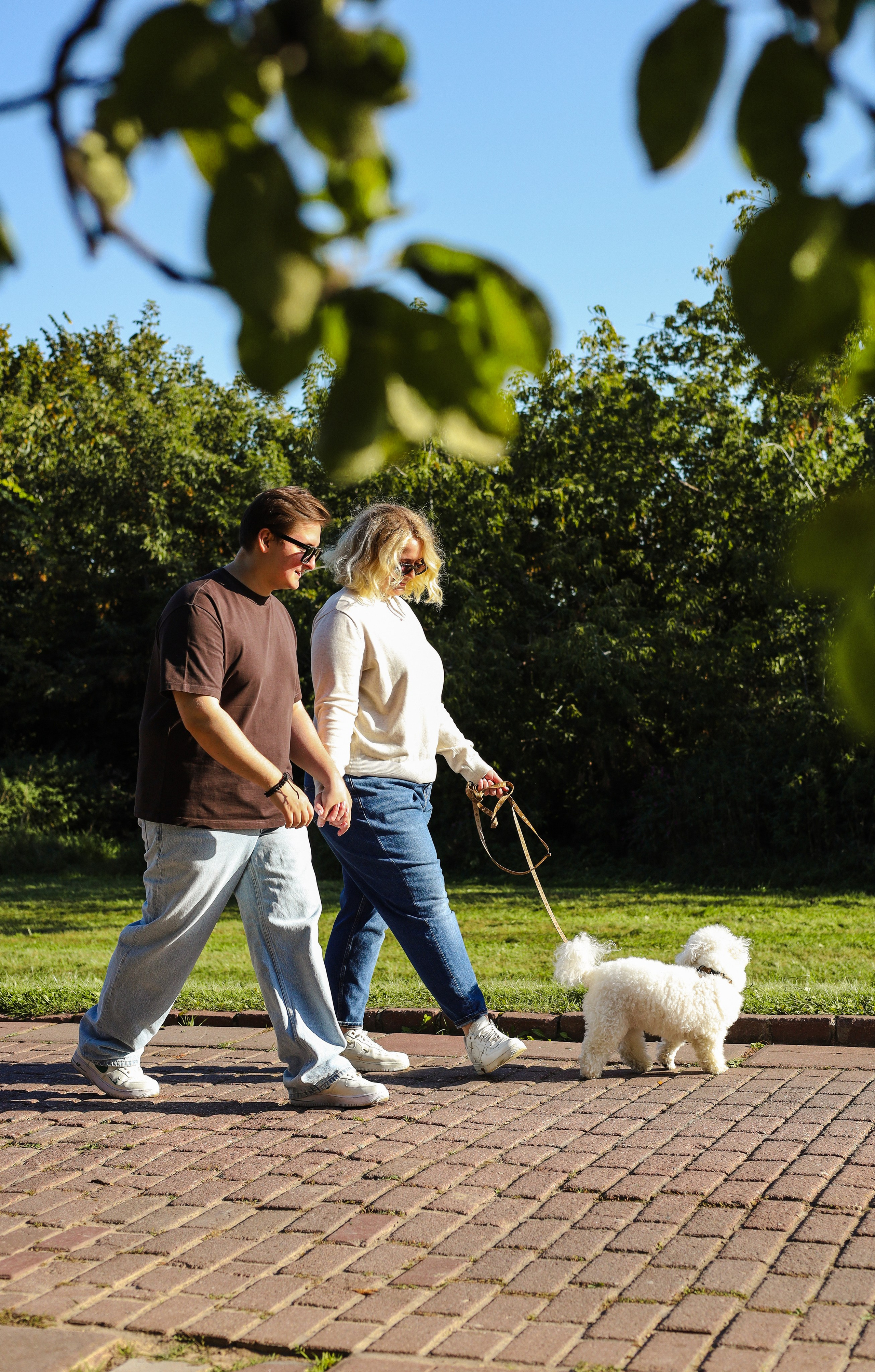 Тимоша, Катя и Вова. Фотограф-анималист Ксения Шевцова|Москва
