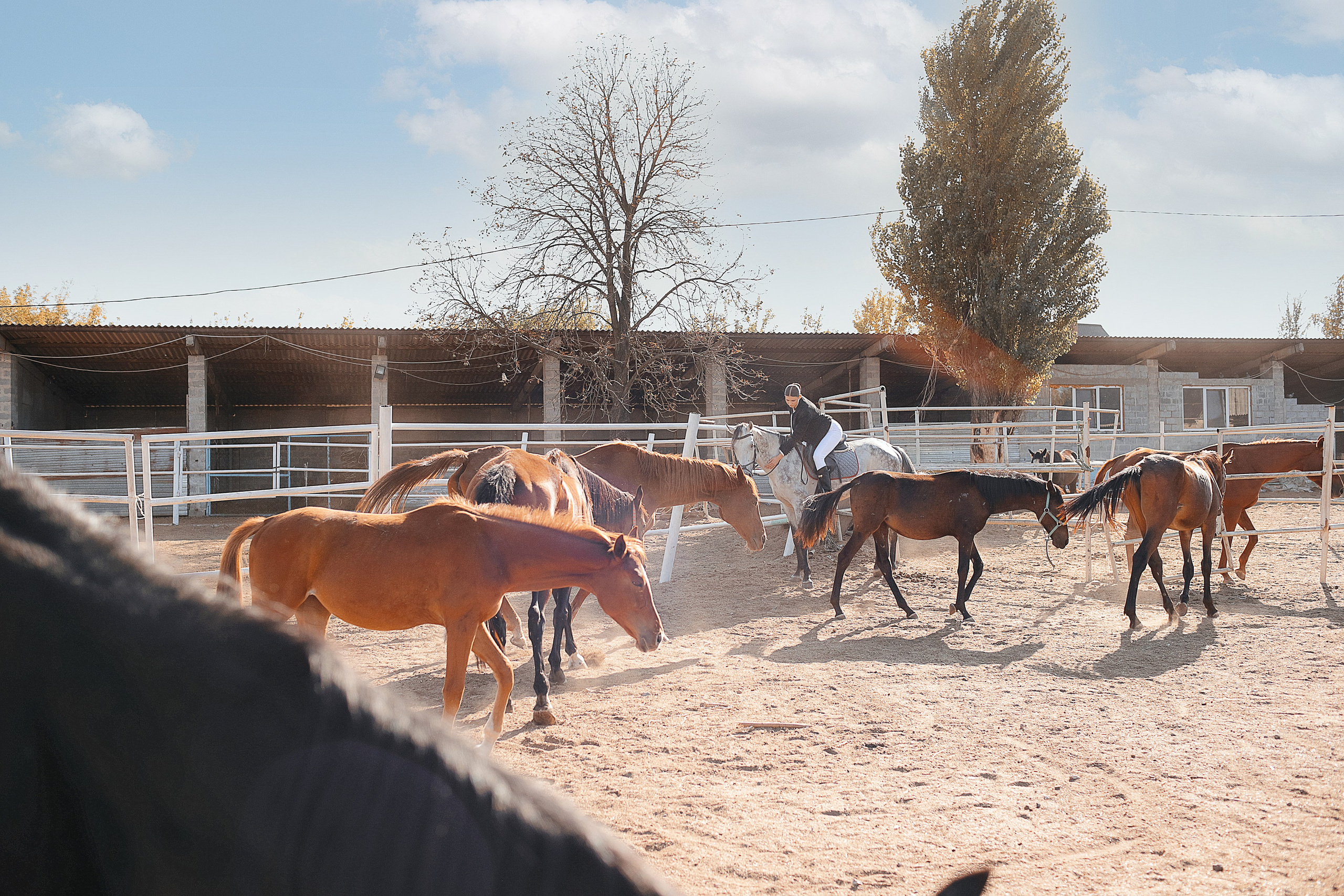 Индивидуальная съемка. Семейный и детский фотограф в Донецке Екатерина Покинтелица