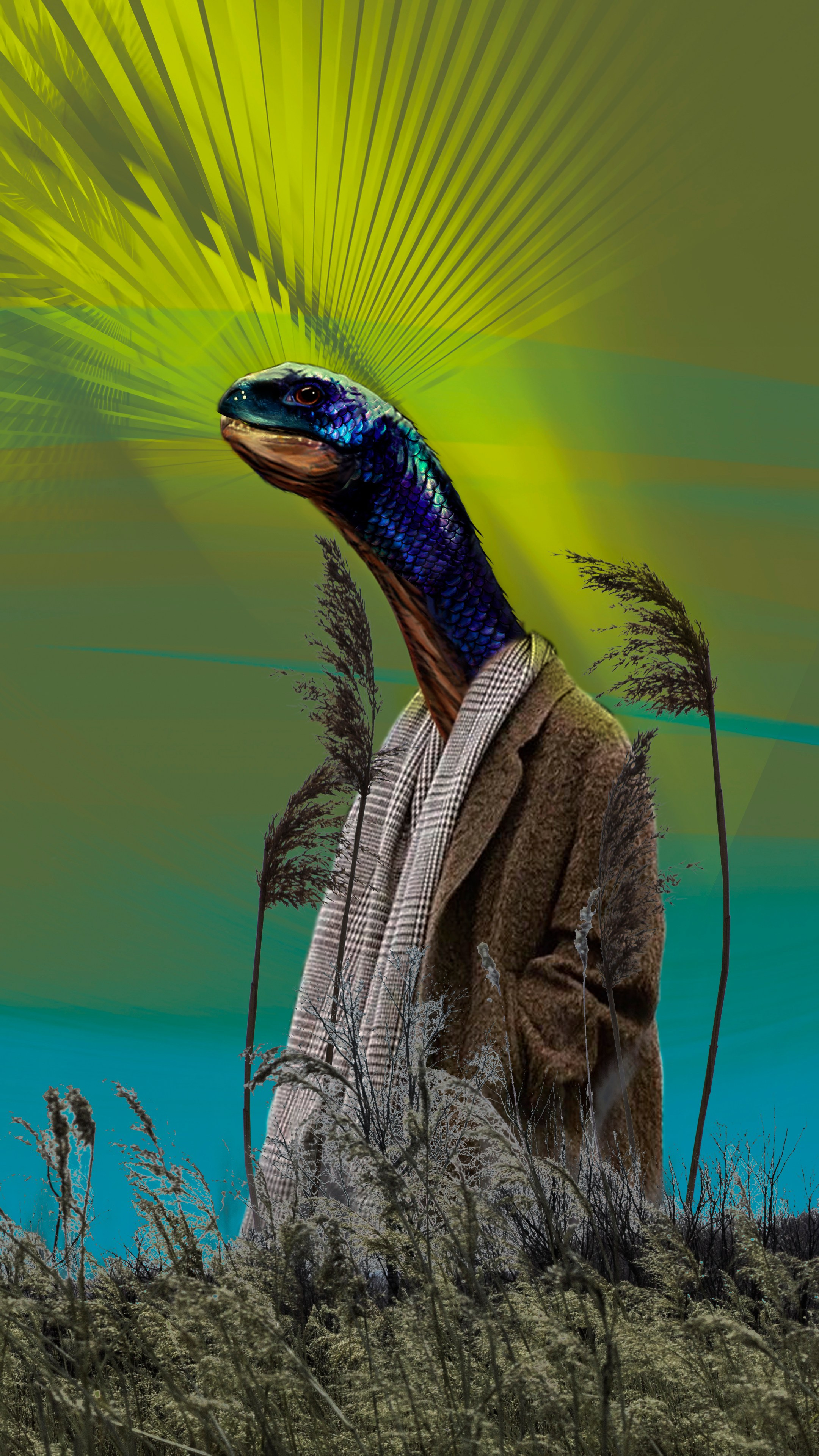 коллаж, дракон. мистер бо, art, artist, collage