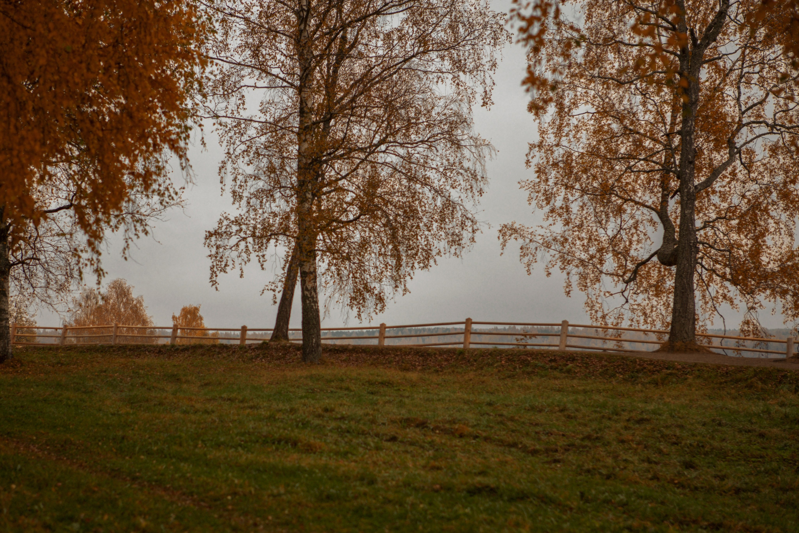 Соборная гора в Плесе