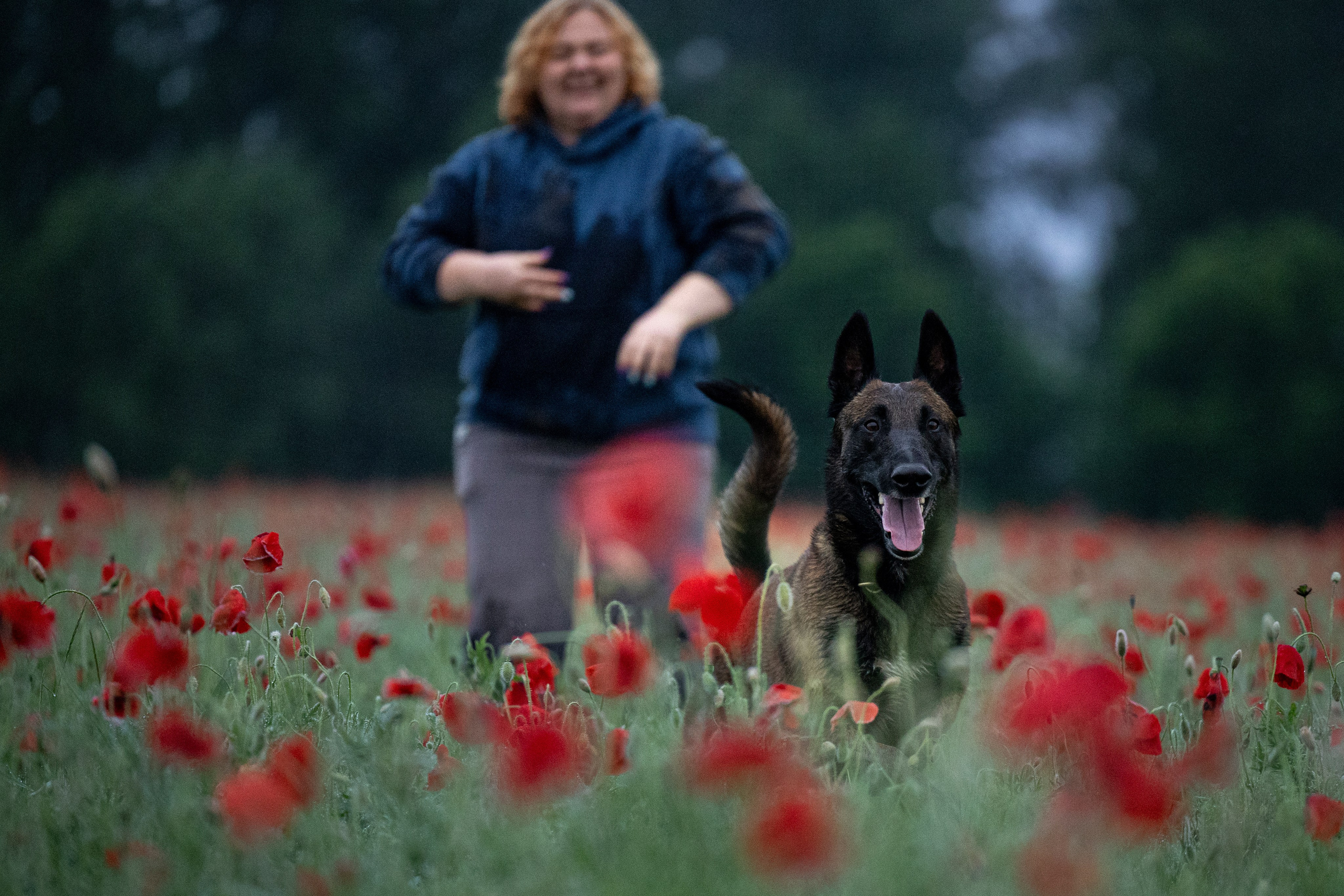 Маковое поле. Фотограф-анималист Анна Маринич