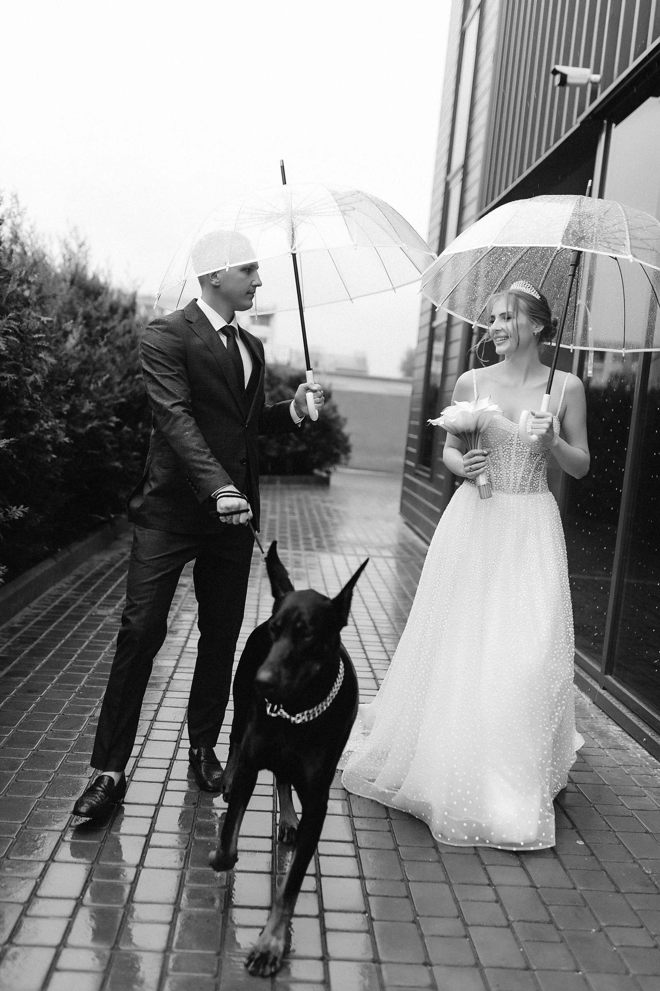 Лёша и Злата. Свадебный и семейный фотограф в Орша