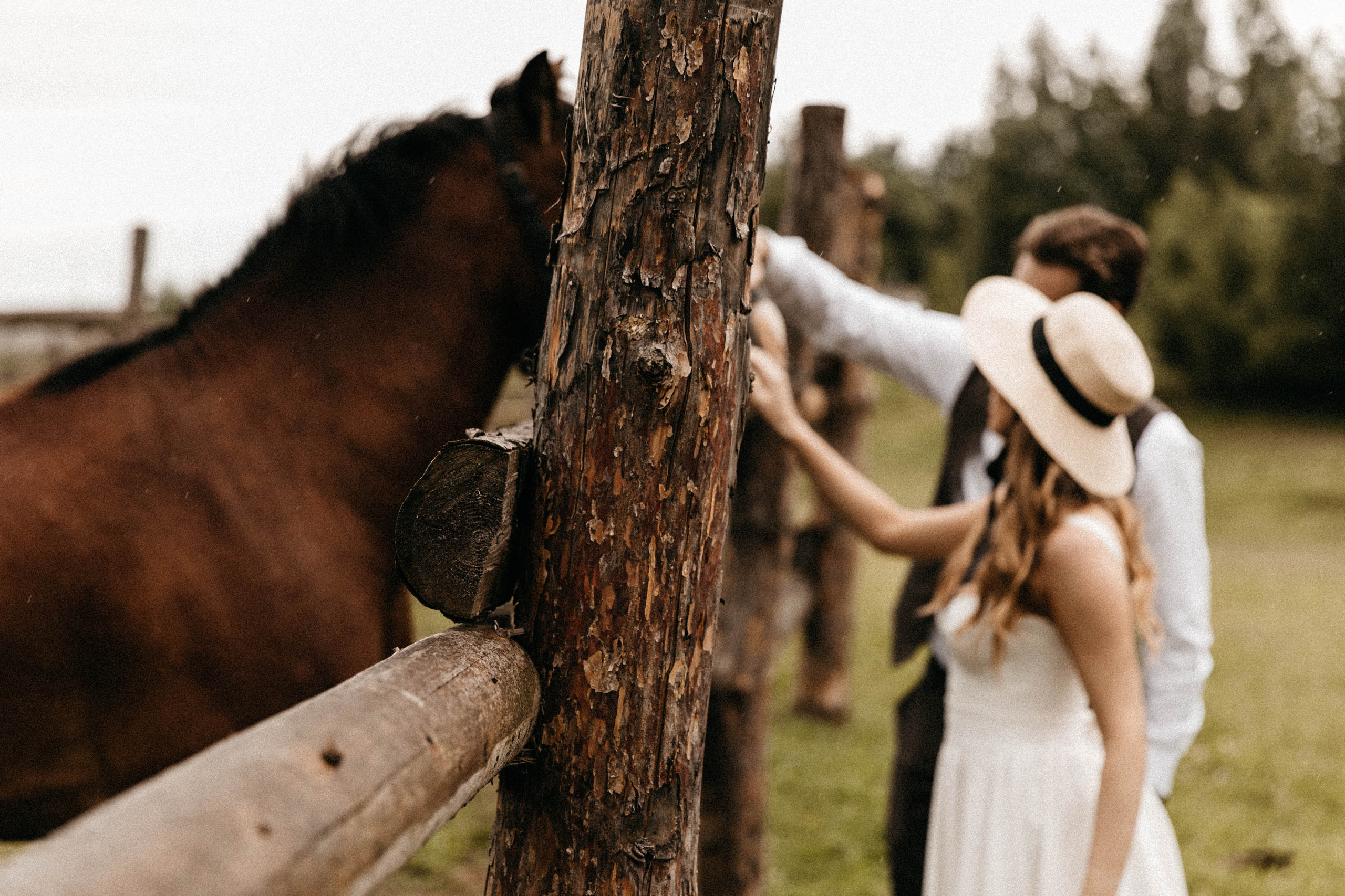 Стас и Александра. Свадебный и семейный фотограф в Орша