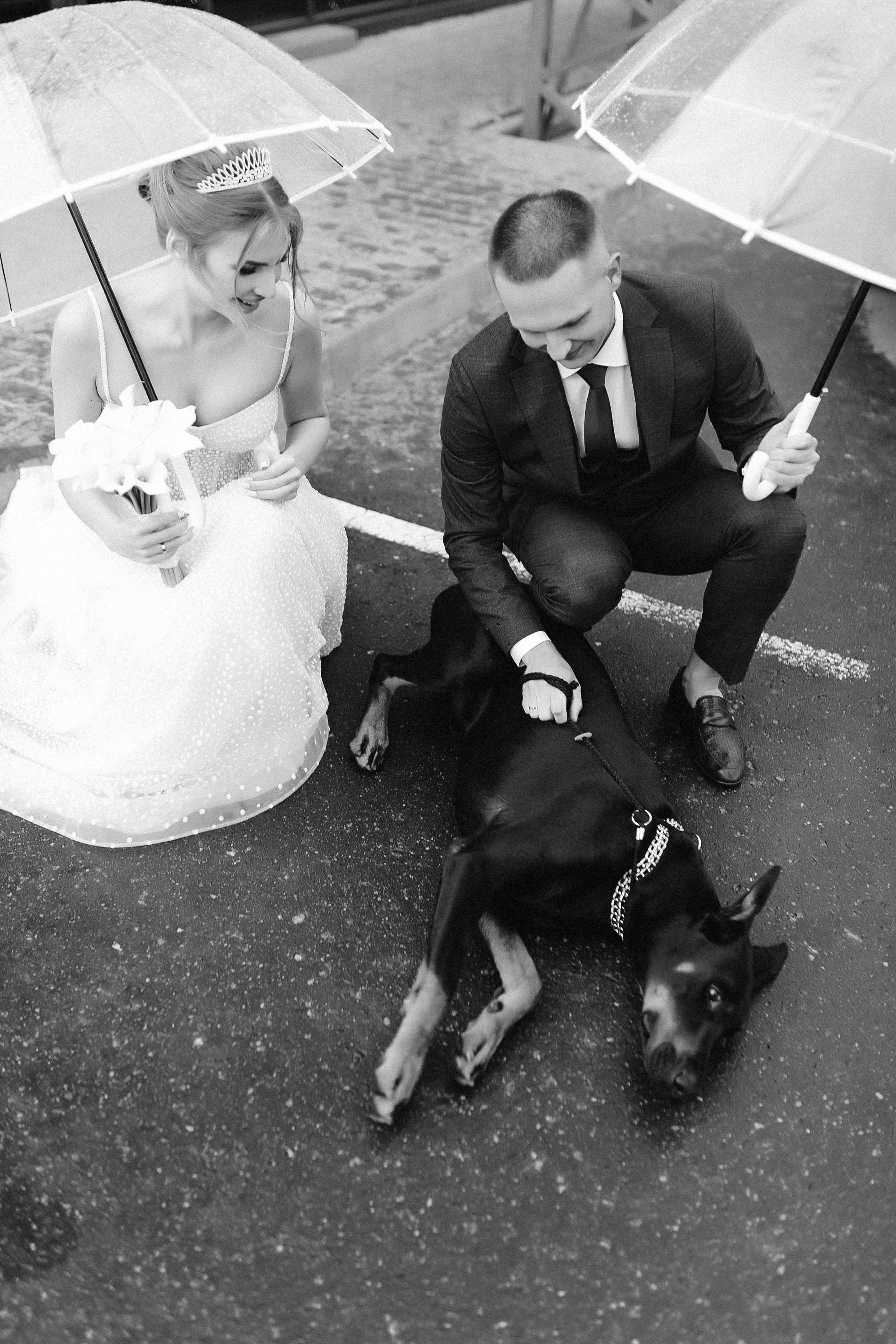 Лёша и Злата. Свадебный и семейный фотограф в Орша