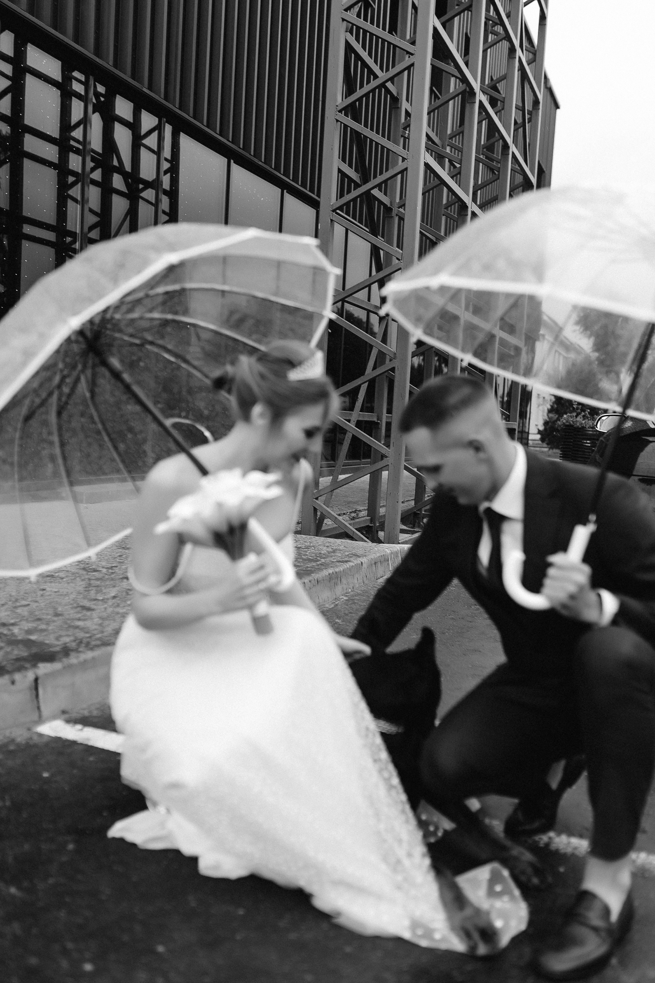 Лёша и Злата. Свадебный и семейный фотограф в Орша