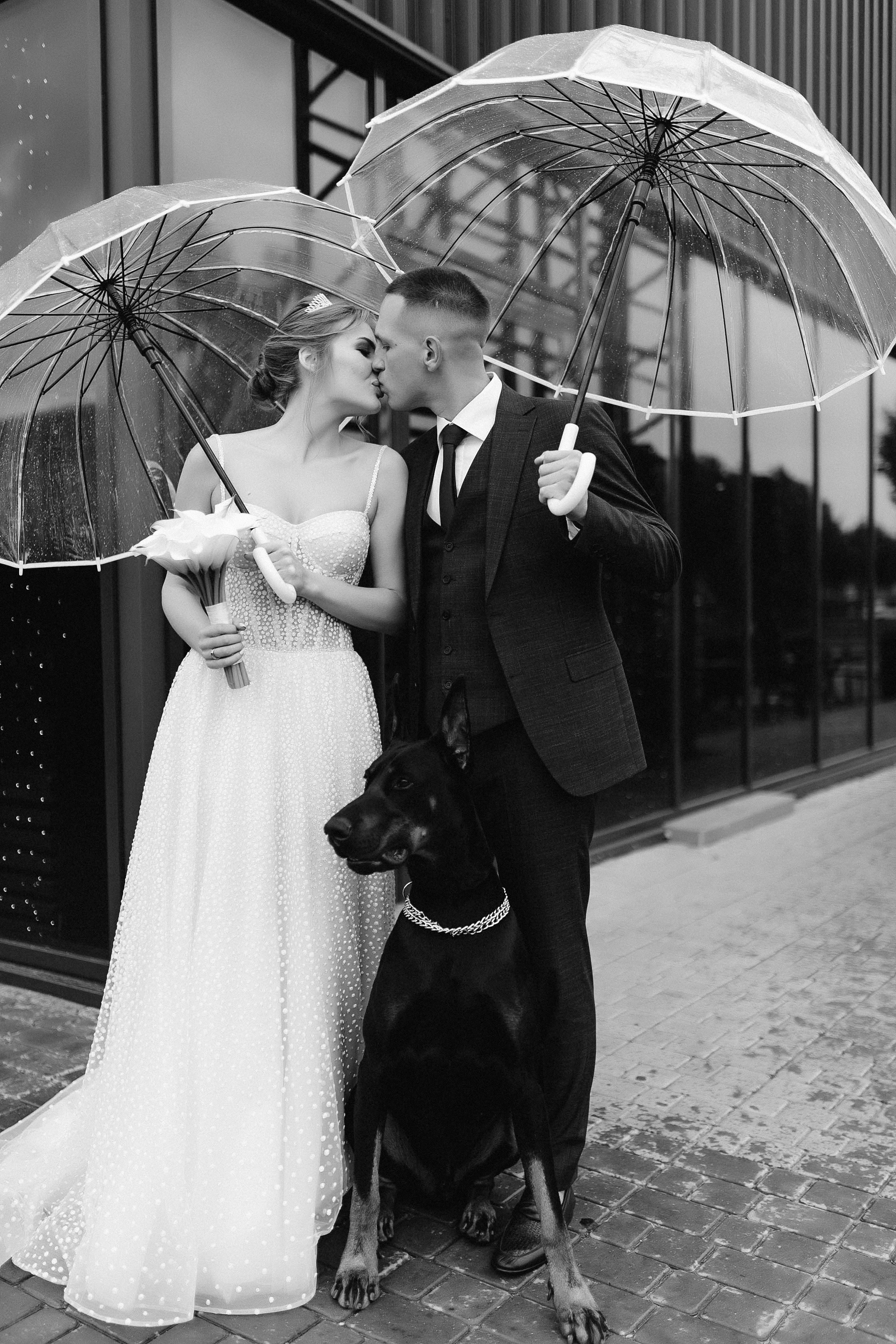 Лёша и Злата. Свадебный и семейный фотограф в Орша