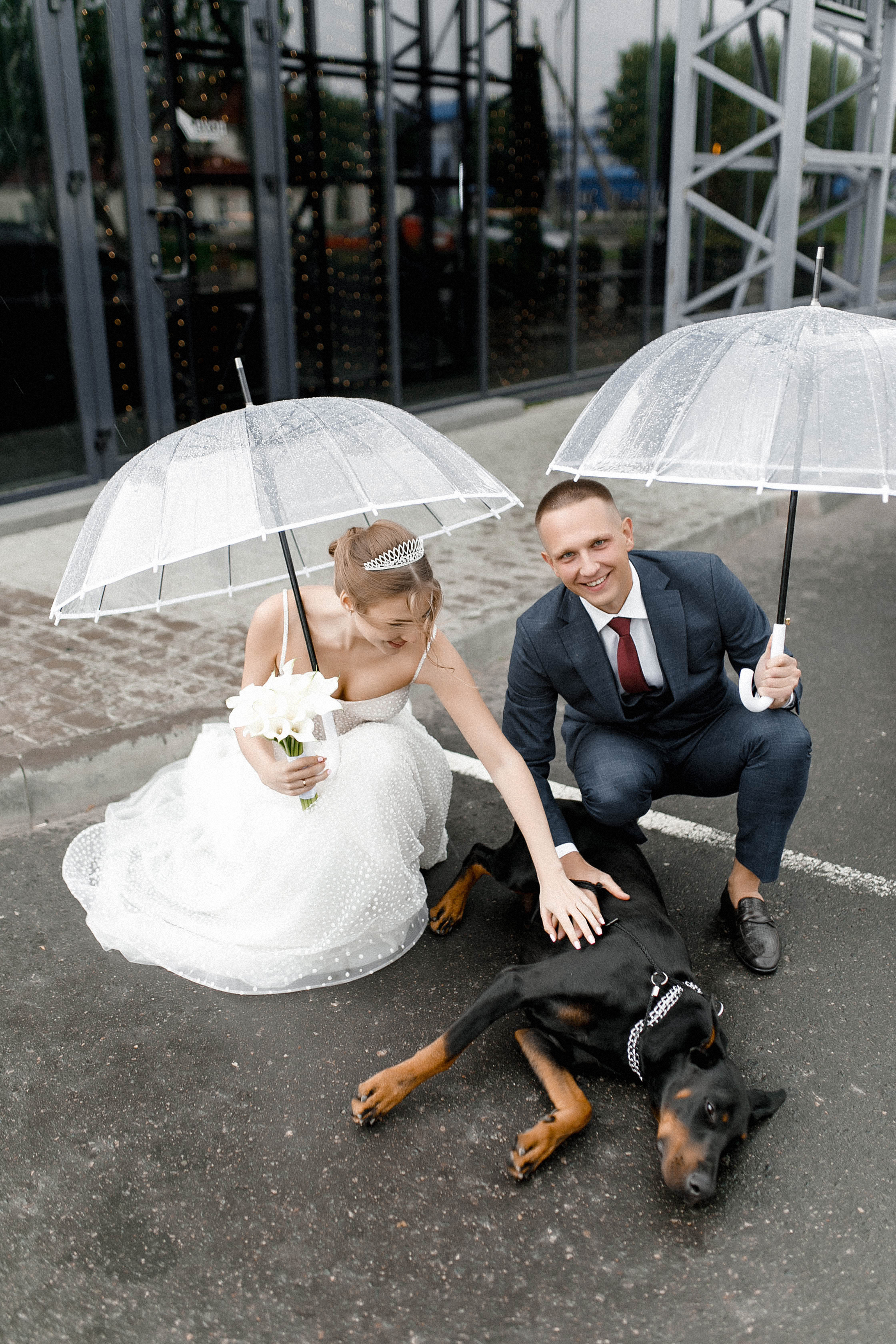 Лёша и Злата. Свадебный и семейный фотограф в Орша