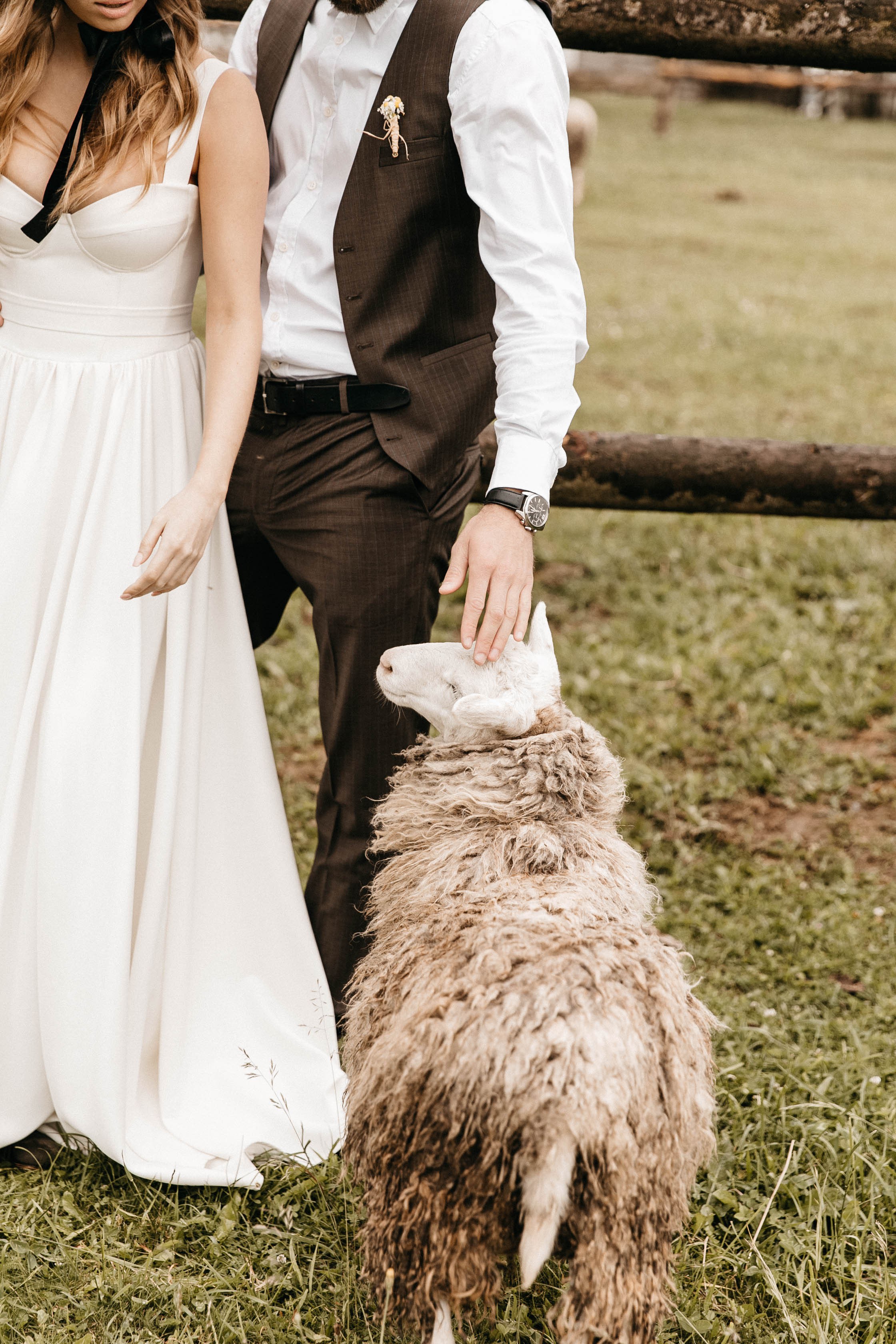 Стас и Александра. Свадебный и семейный фотограф в Орша