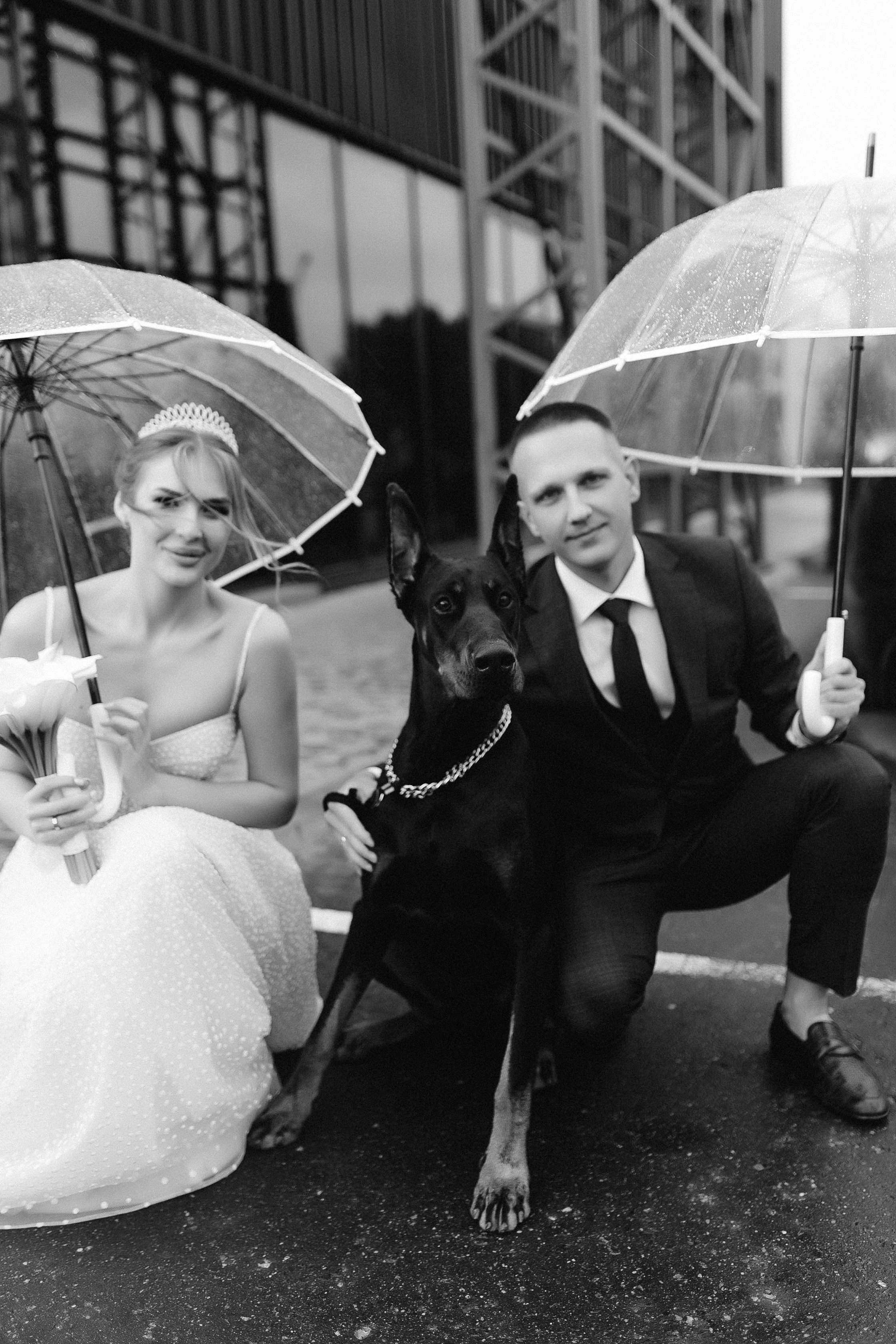 Лёша и Злата. Свадебный и семейный фотограф в Орша