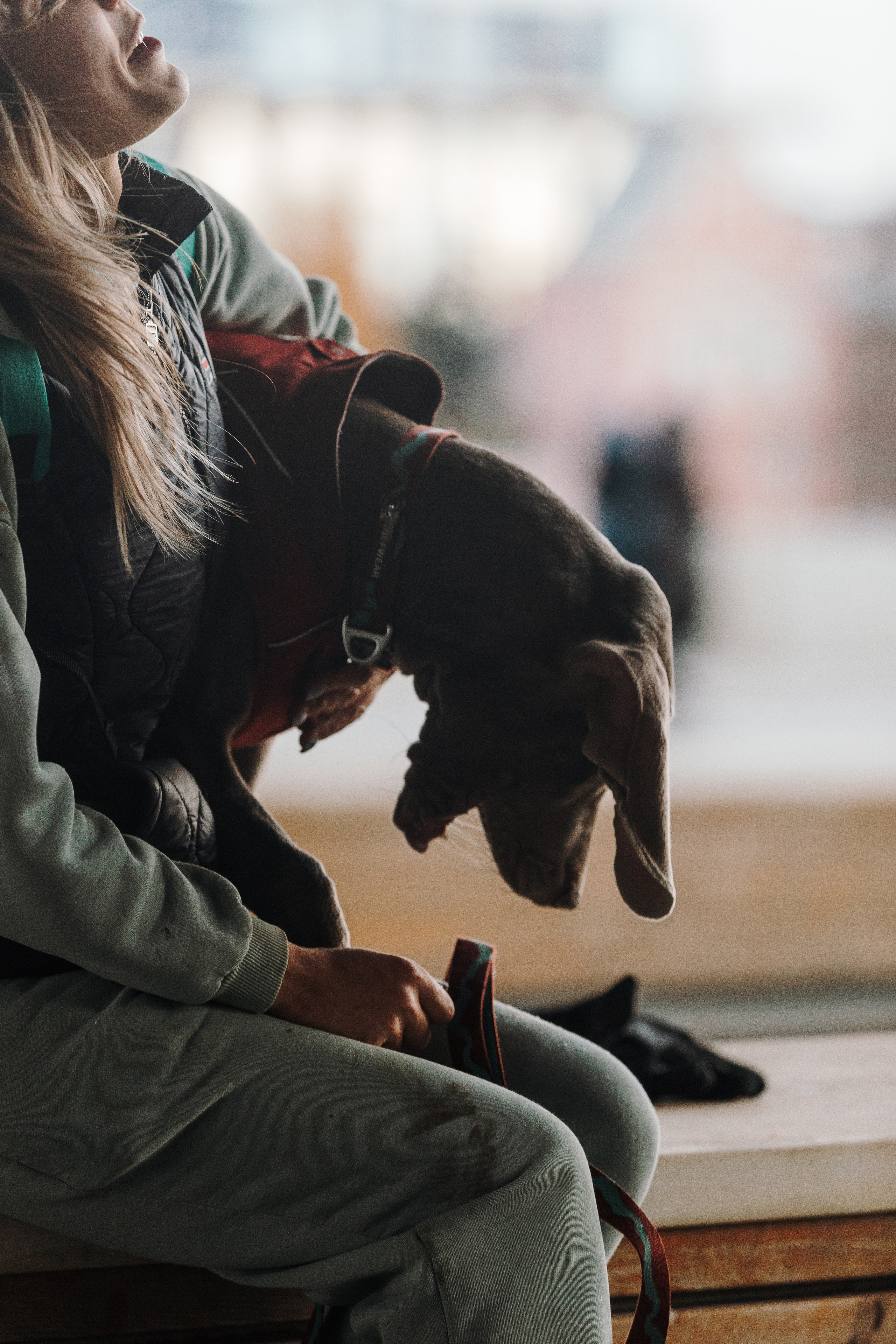 Оля, Саша и Бастиан. Фотограф анималист Кристина Карпова, Москва