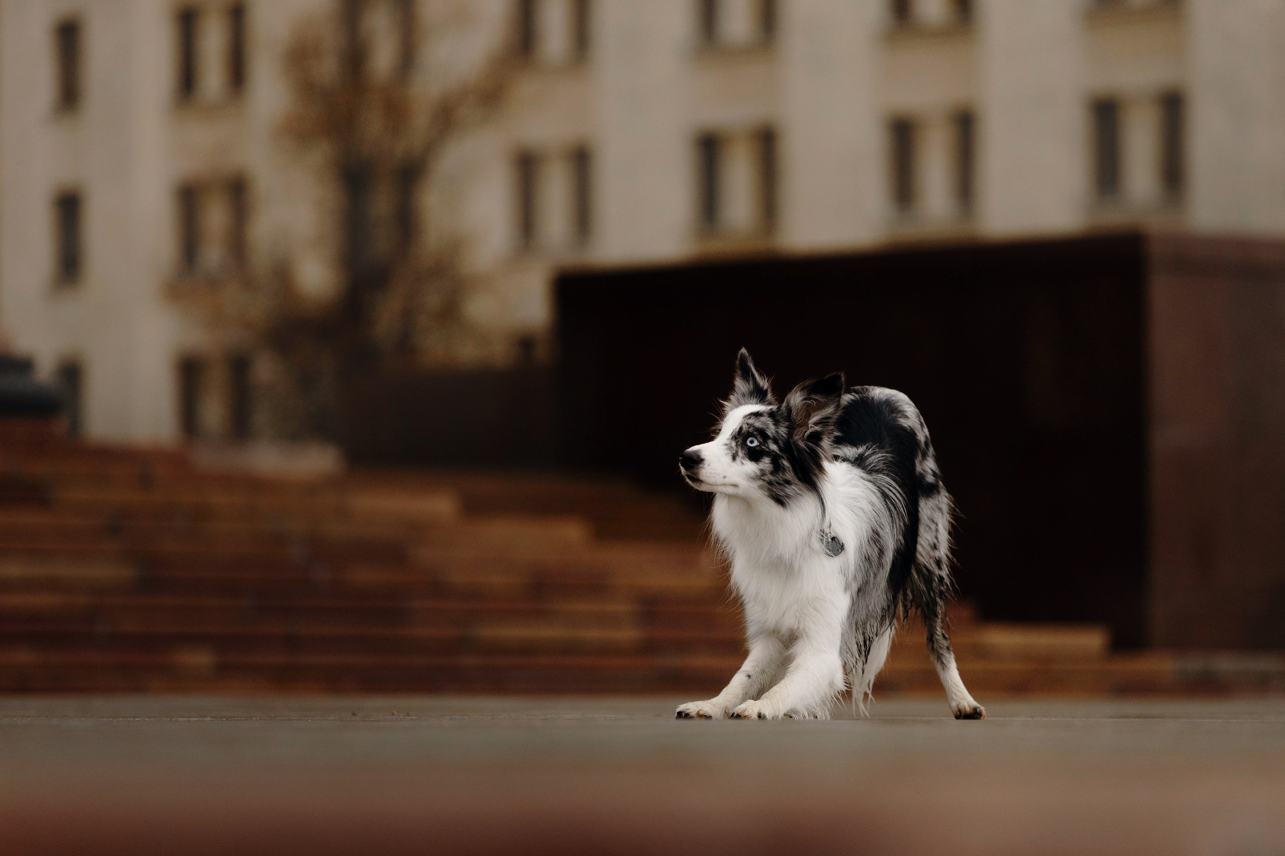 Москва / Настя и Рикотта. Фотограф Кузина Вера