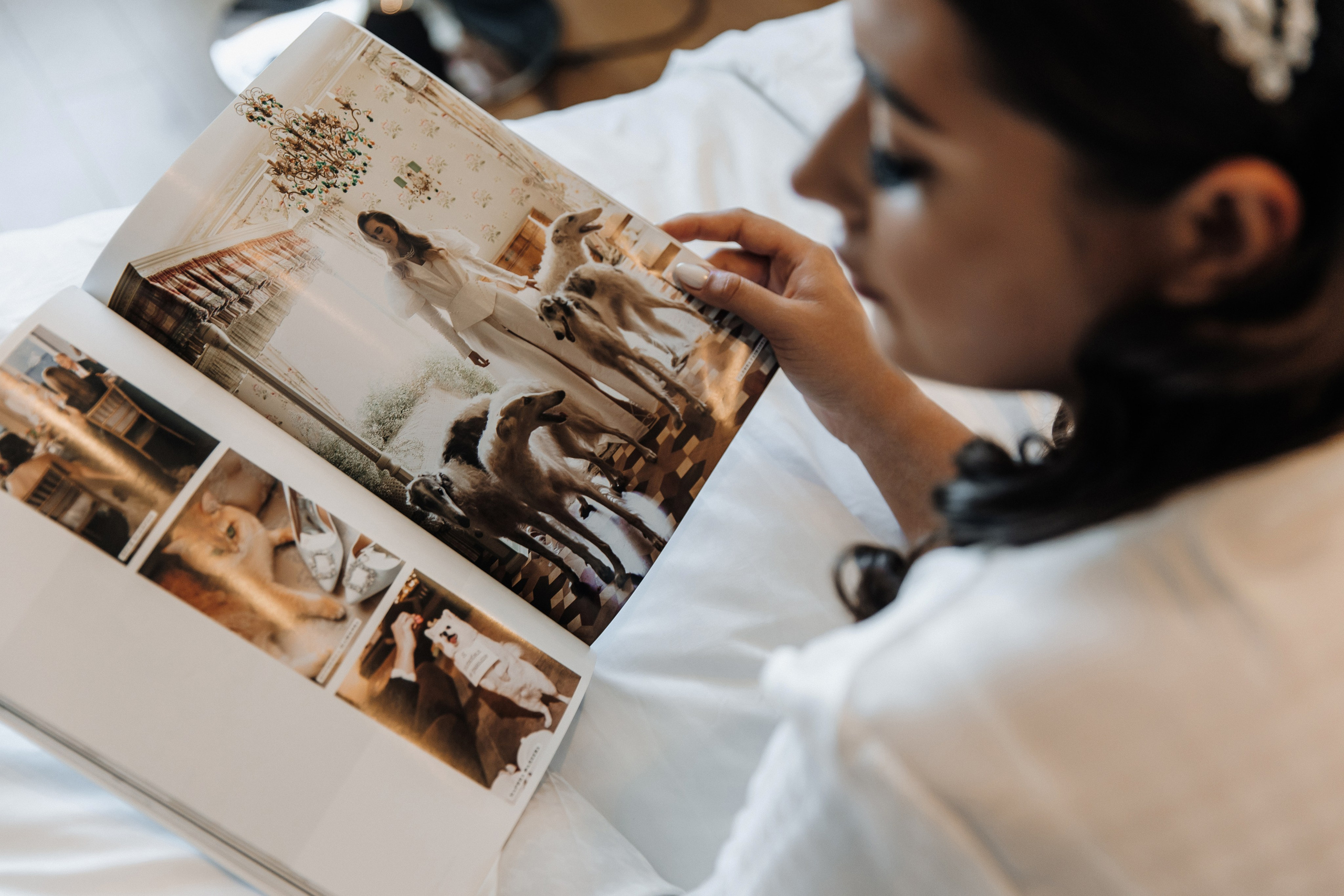 Настя и Егор. Свадебный фотограф и видеограф Когай Дмитрий и Юлия