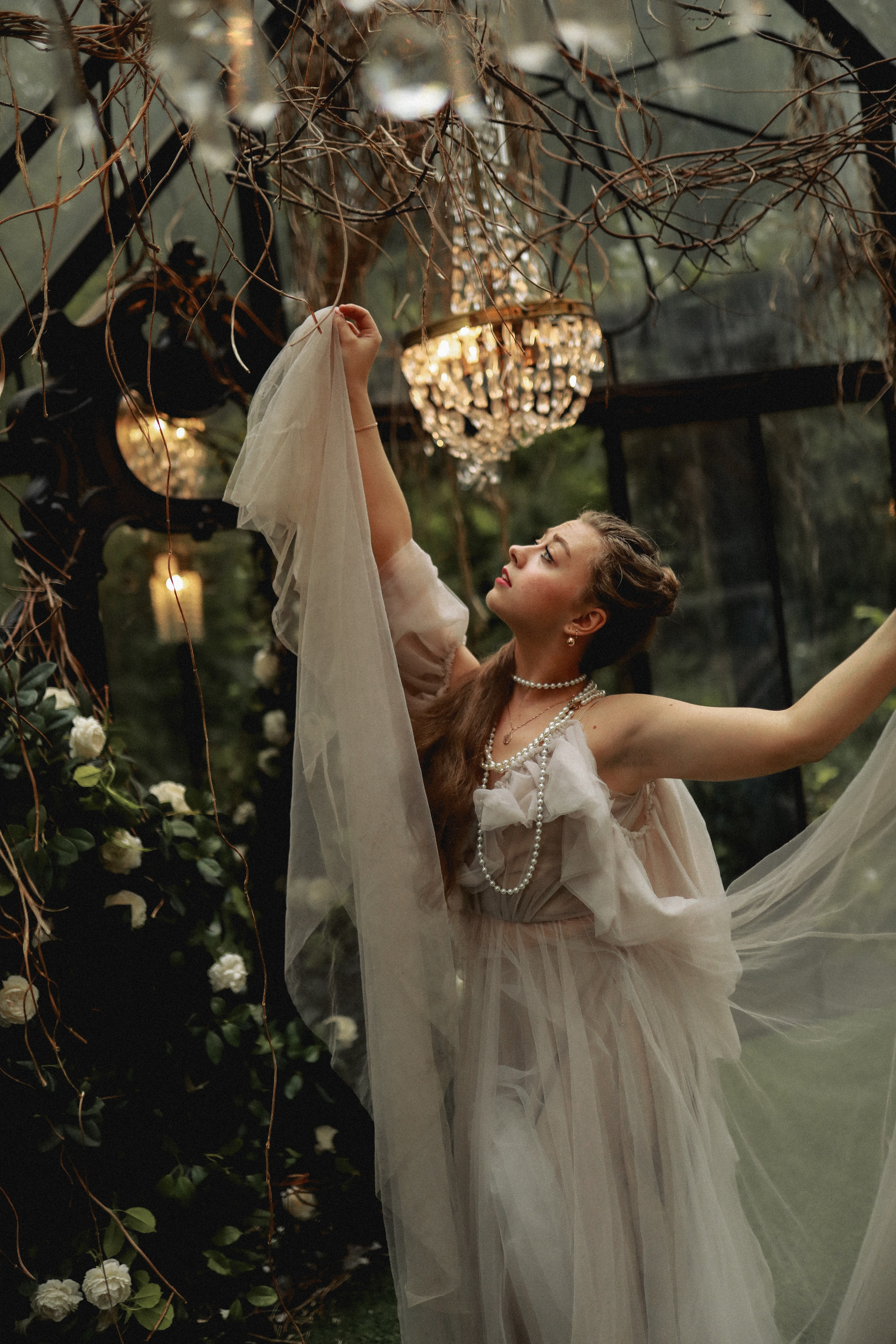 Зачарованный лес