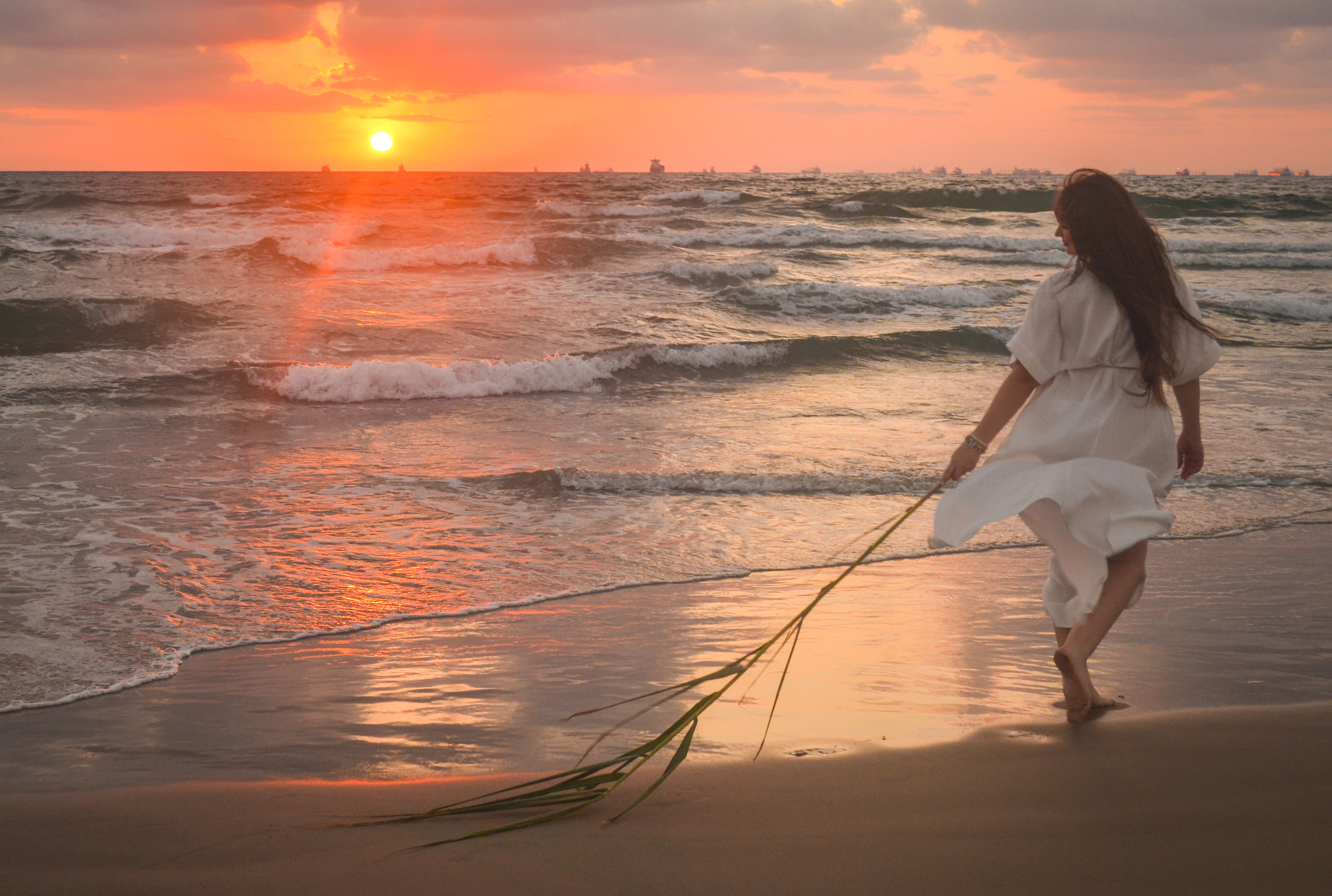 В ожидании. Photograper Israel/фотограф Израиль. ALINA TARAN