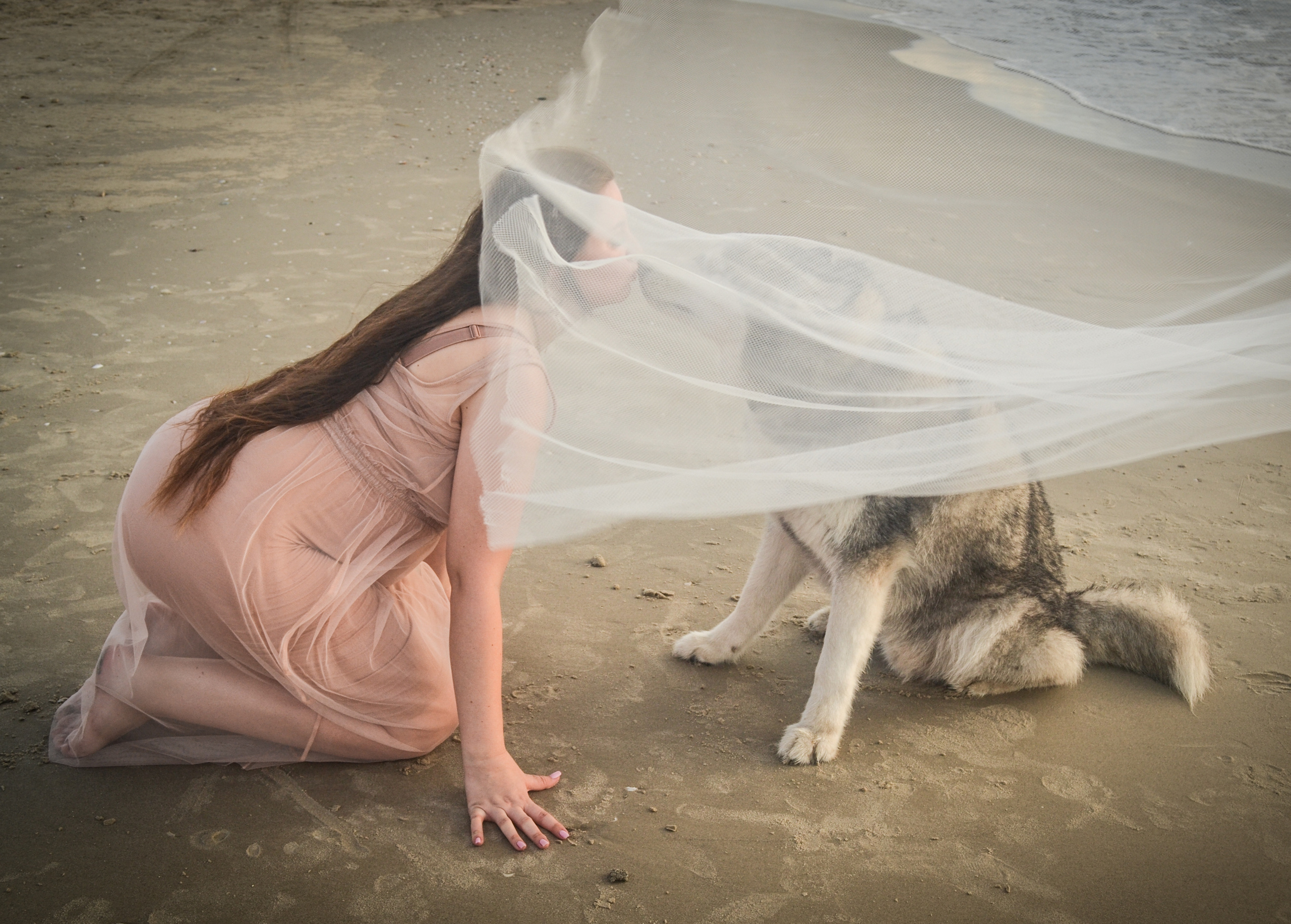 В ожидании. Photograper Israel/фотограф Израиль. ALINA TARAN