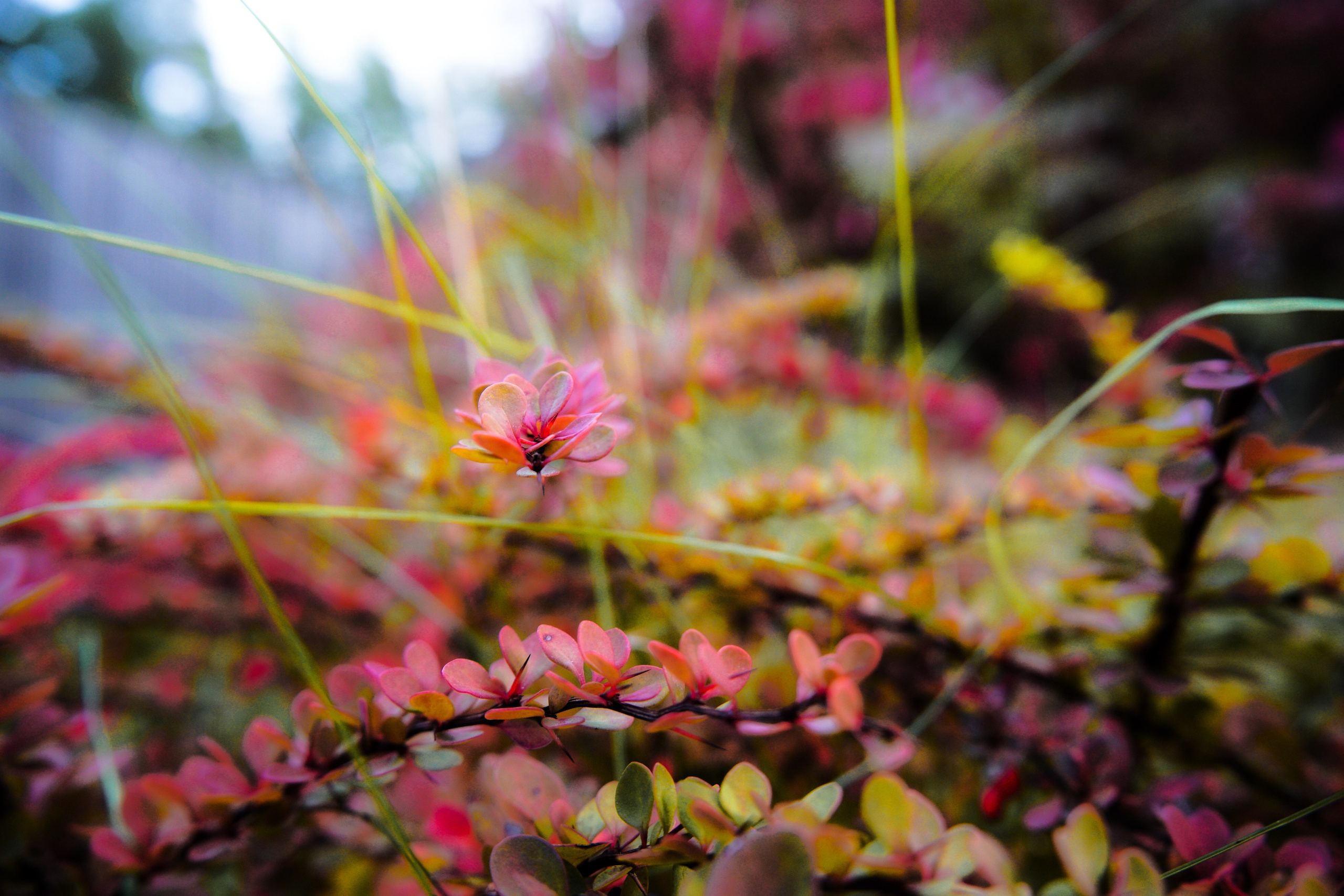 Осень 2025. Фотограф из Москвы — DASHA NOVA | Авторская фотография в разных жанрах