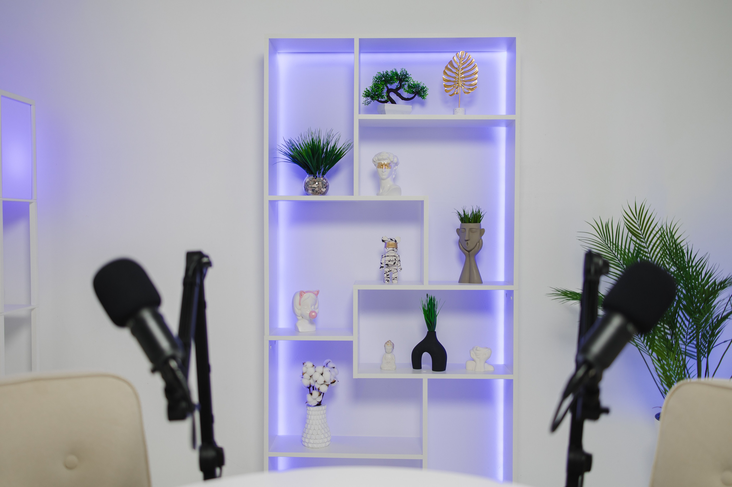 WHITE. Подкасты и прямые эфиры Сочи