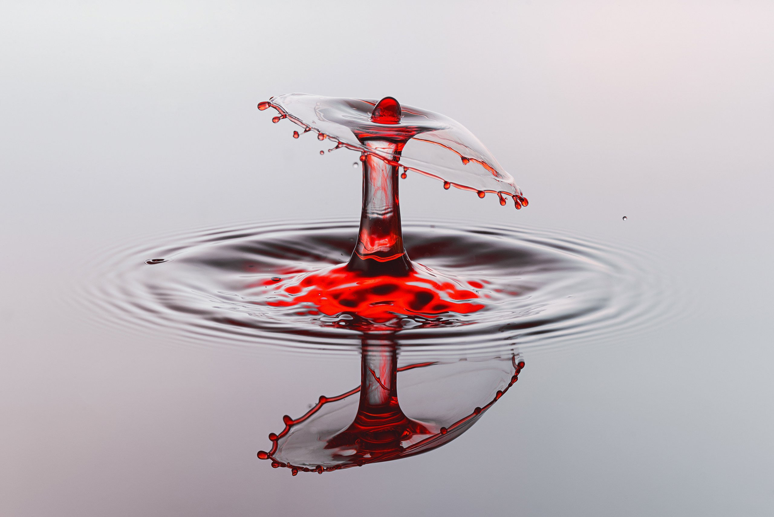 Классические формы. Скульптуры из воды Сергея Толмачева