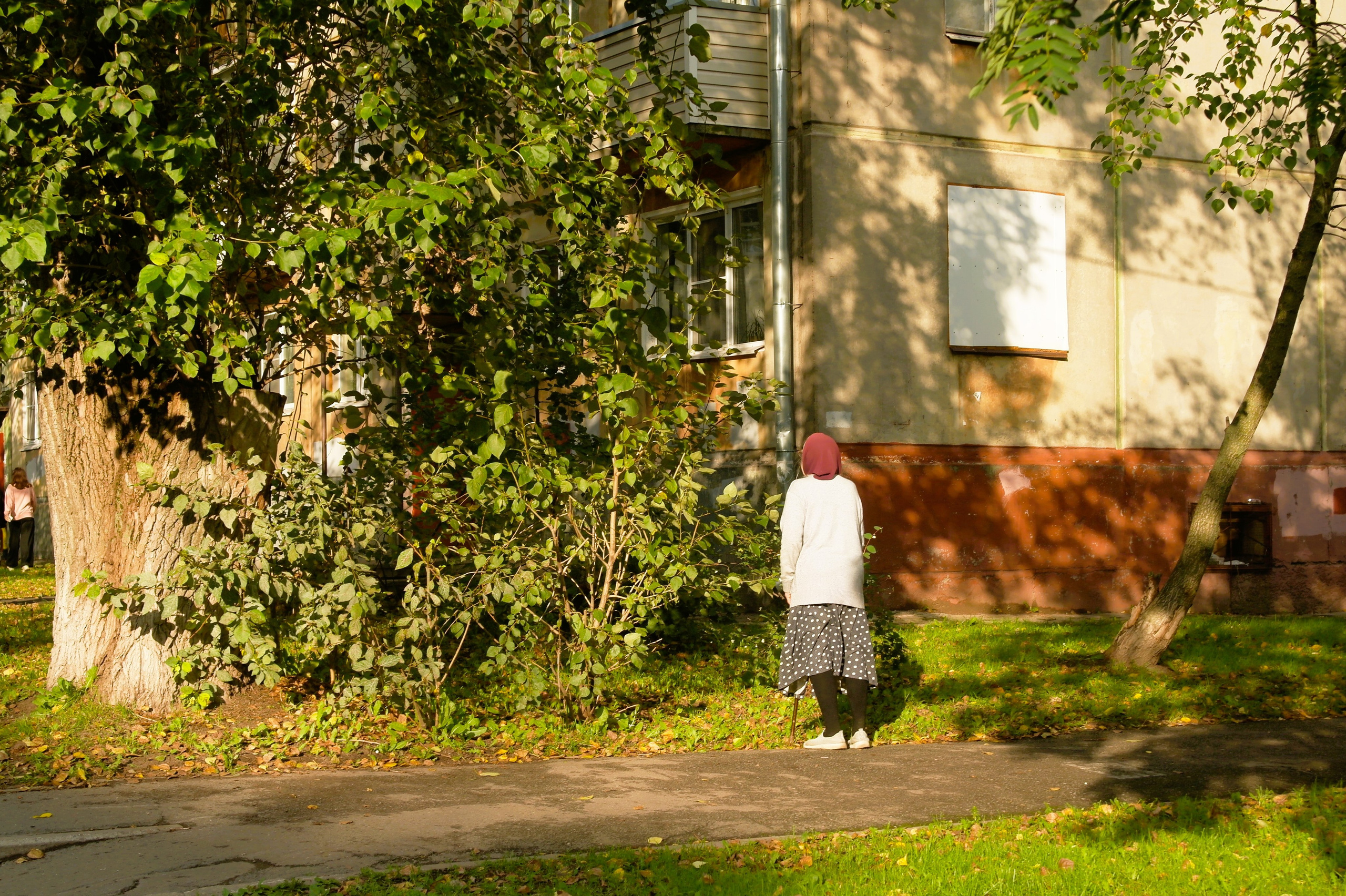 Сентябрь 2025. Den Mirov — Фотограф, Музыкант