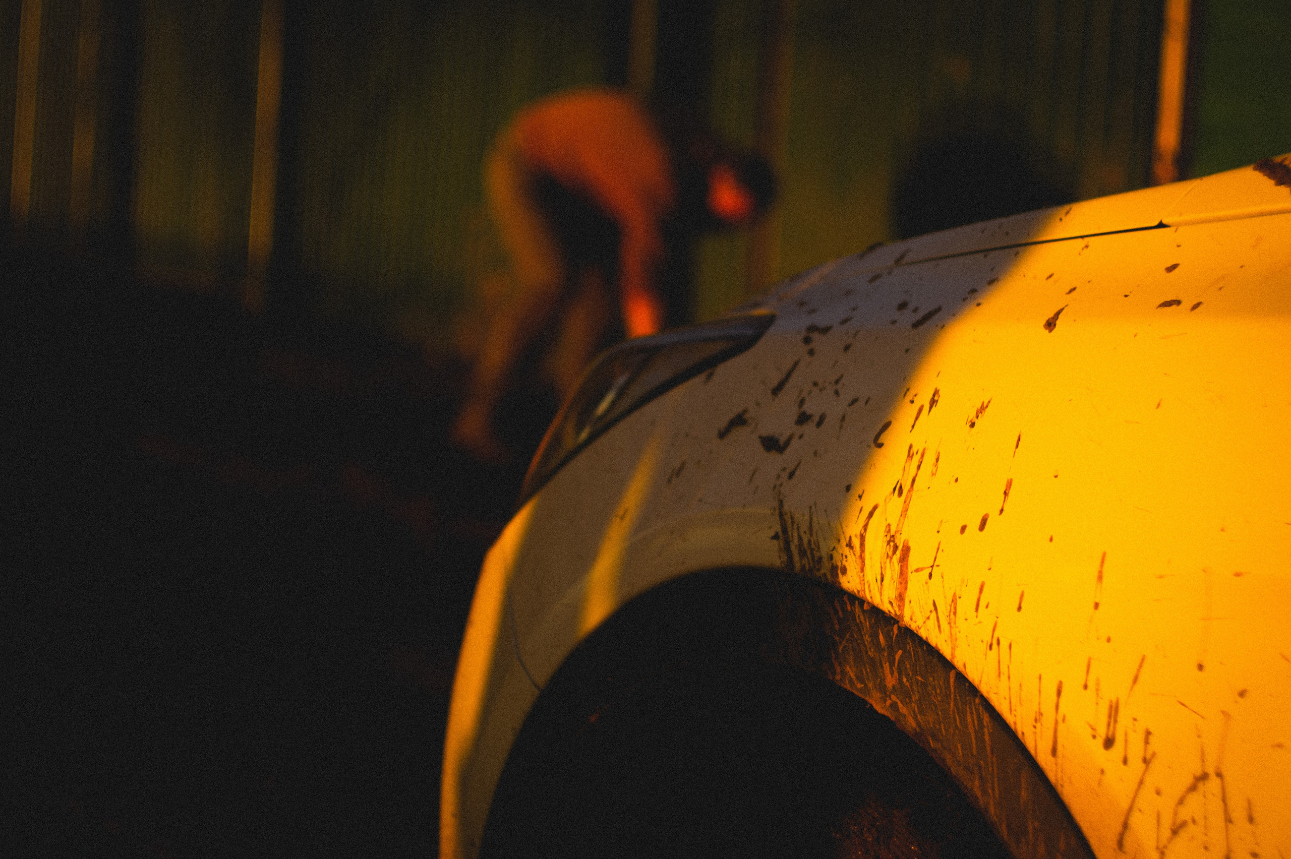 The Road to Truth. Den Mirov — Photographer, Musician