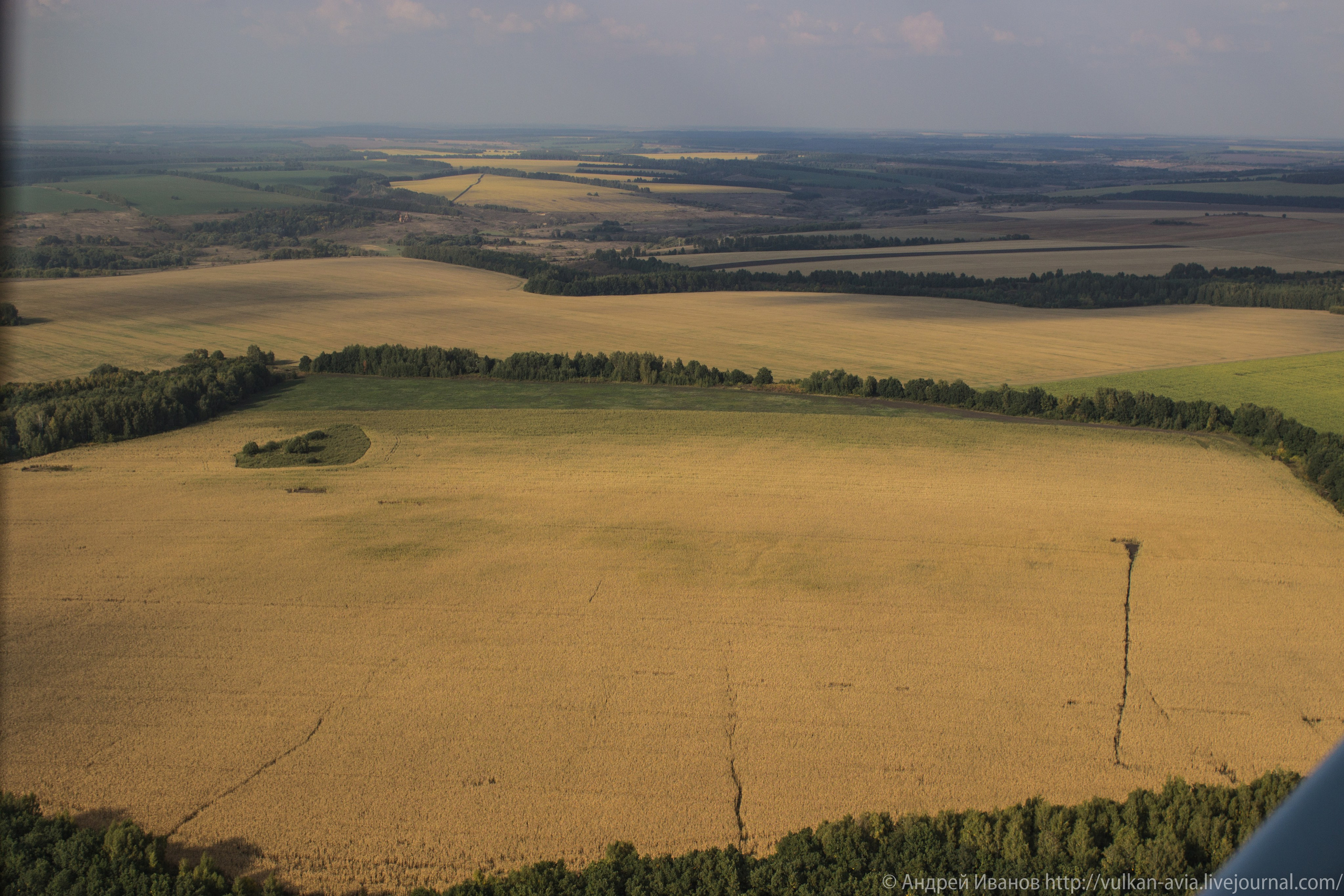 Волгодонск аэр. Потапов слёт «Небо для всех» (2021 г.). Фотоальбом показывающий увлекательный мир авиации и мир медведей Андрея Иванова