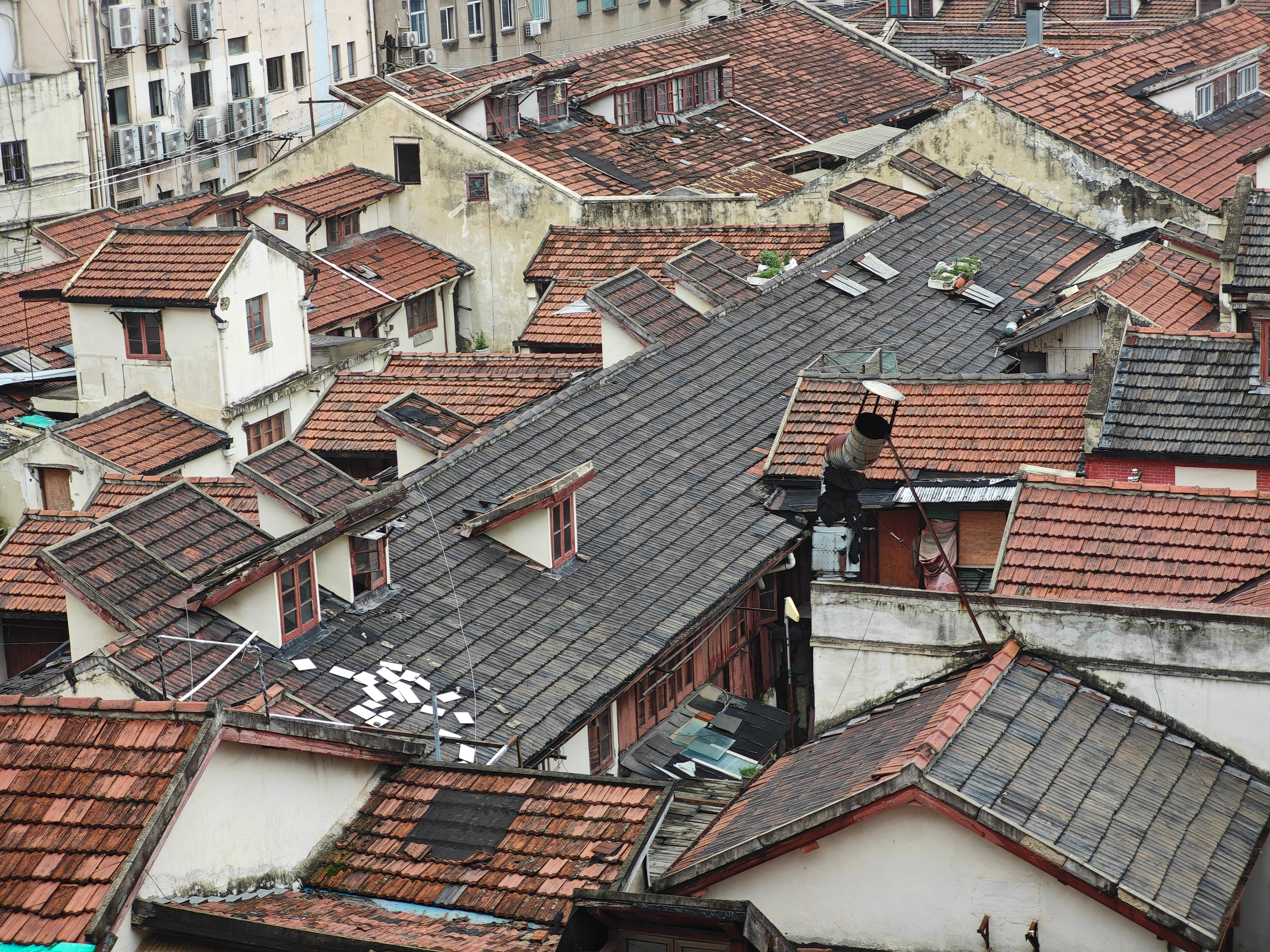 The Great Journey to China. Brjankin.com