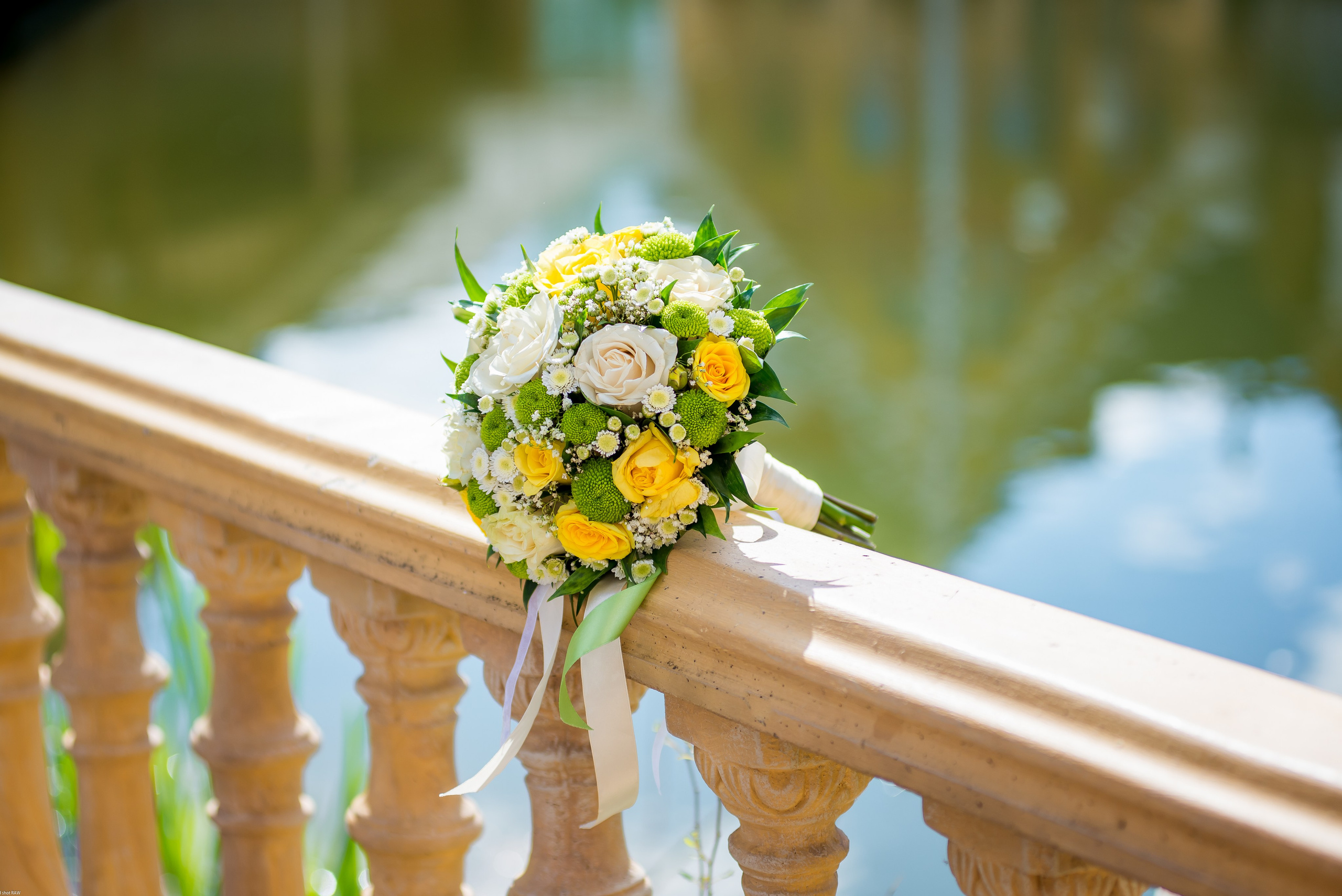 Федор и Таня. Свадебный фотограф в Рязани Вагнер Владимир