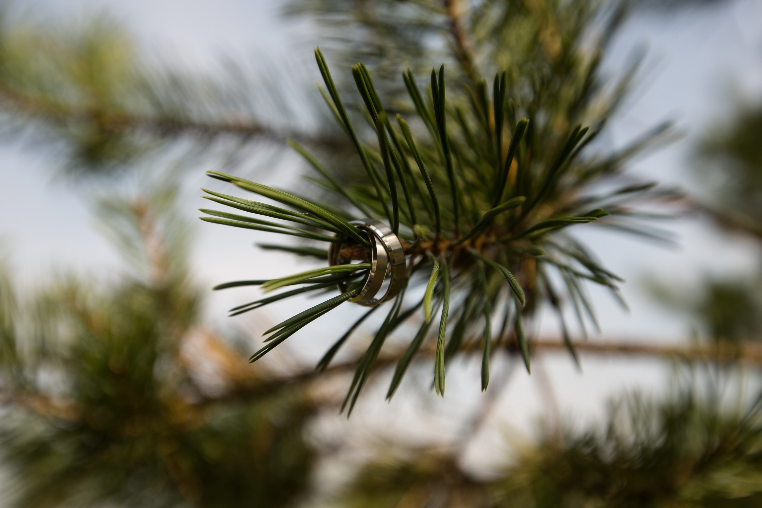 Ваня и Лера. Свадебный фотограф Кирьянов Максим. Фотографирую в Москве, Коломне, Со