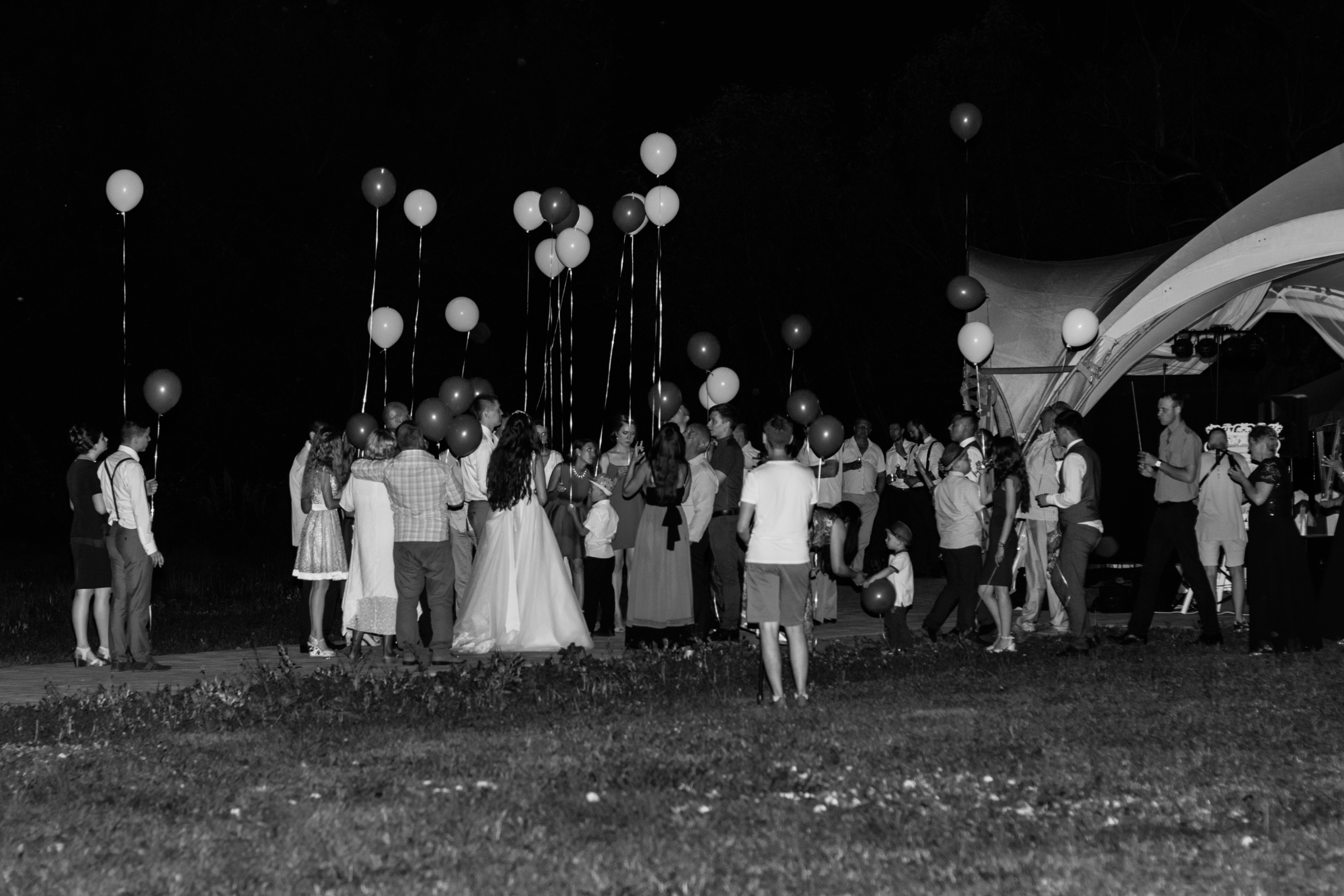 Влад и Вера. Wedding photographer Kiryanov Maxim. I take photos in Moscow, Kolomna,