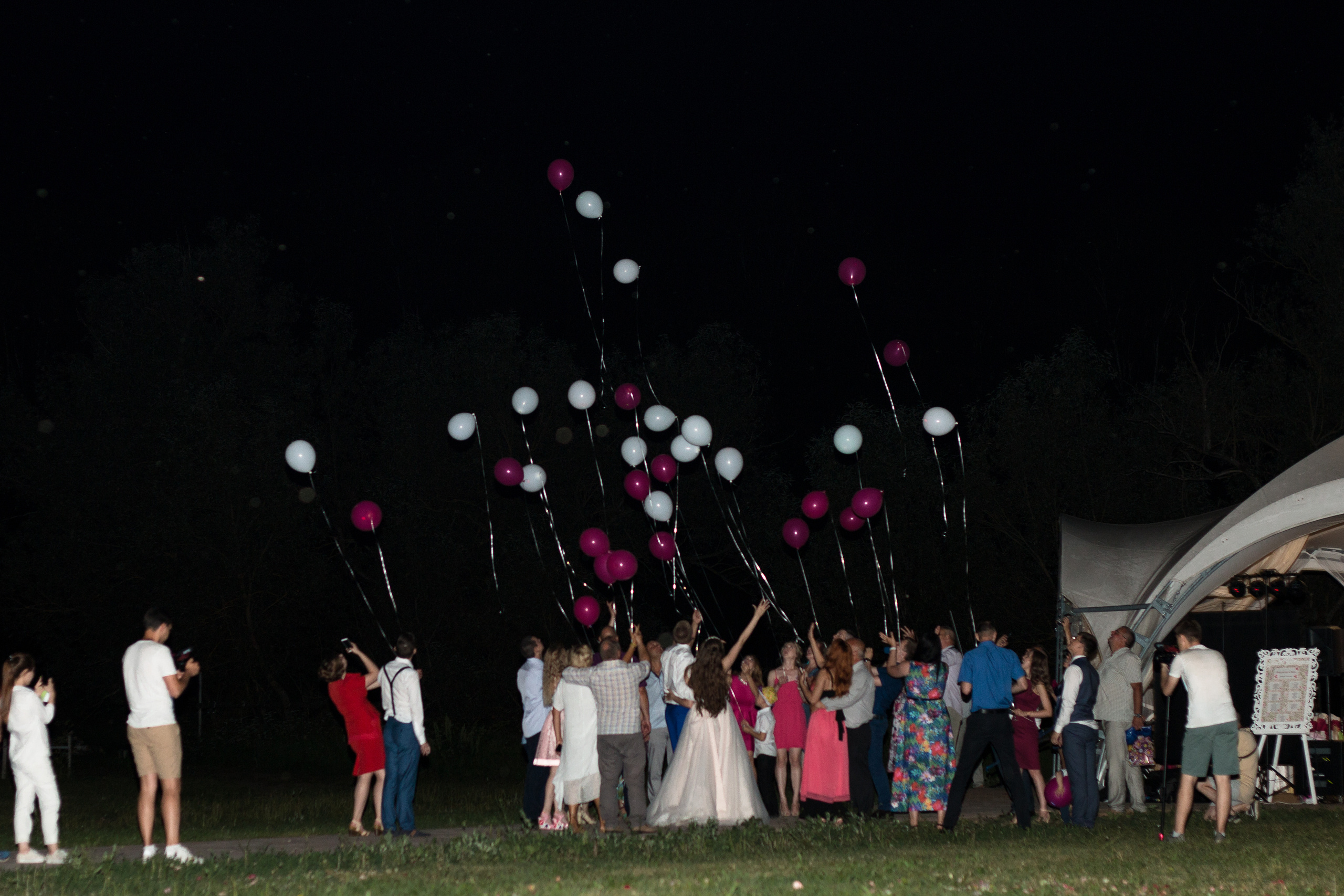 Влад и Вера. Wedding photographer Kiryanov Maxim. I take photos in Moscow, Kolomna,