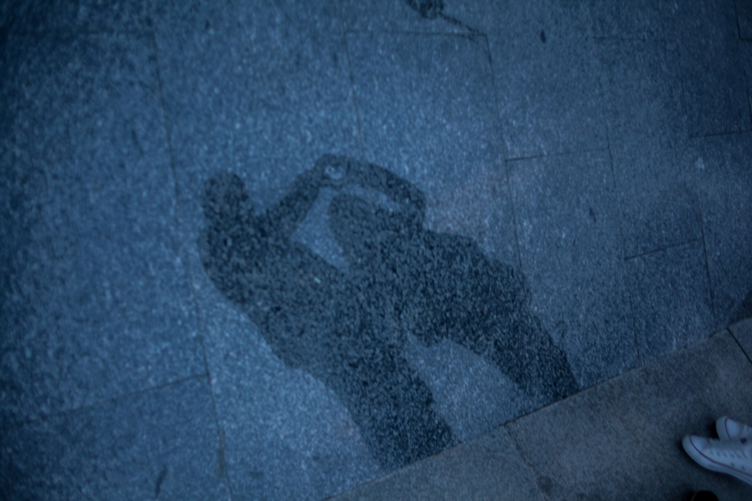 Артем и Ксюша. Свадебный фотограф Кирьянов Максим. Фотографирую в Москве, Коломне, Со