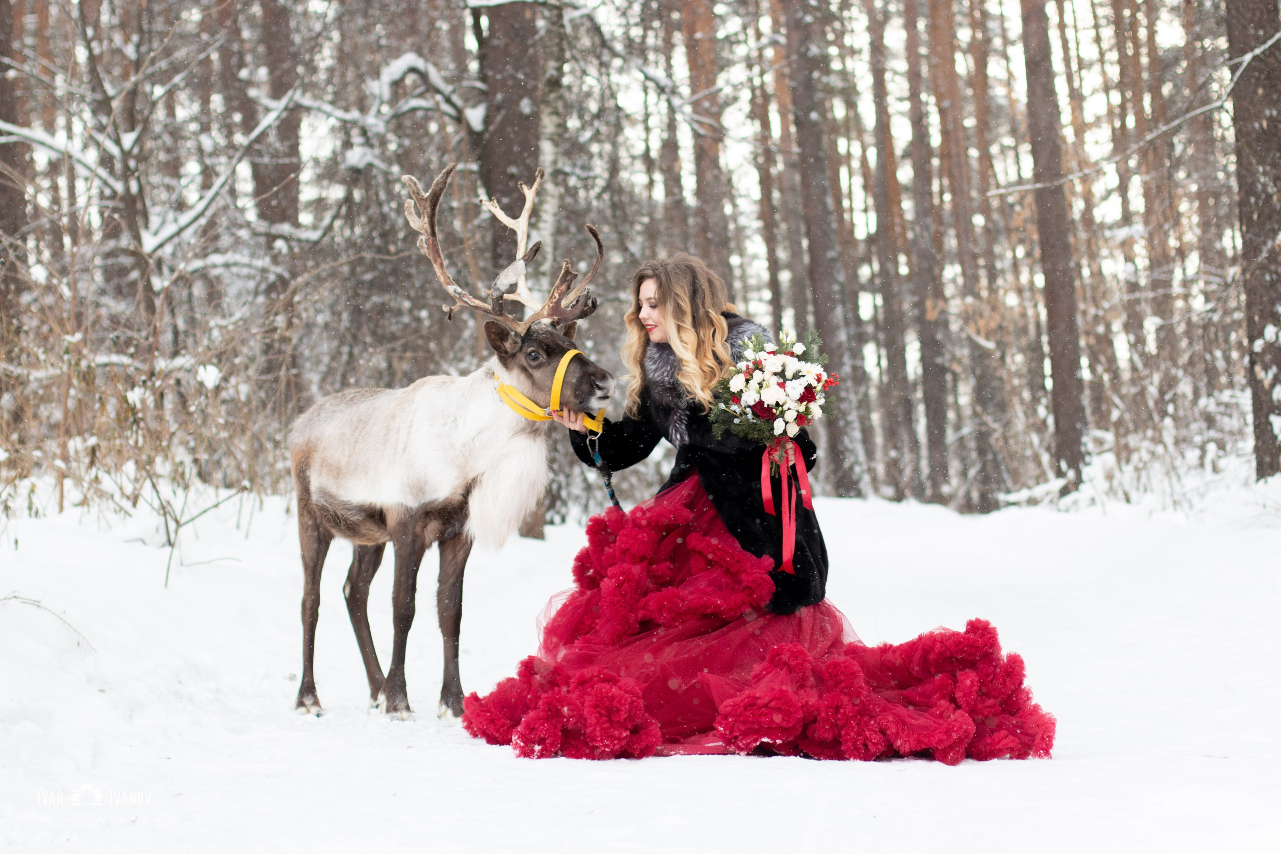 Фотосет с северным оленем. Свадебный и семейный фотограф в Новокузнецке Иван Иванов