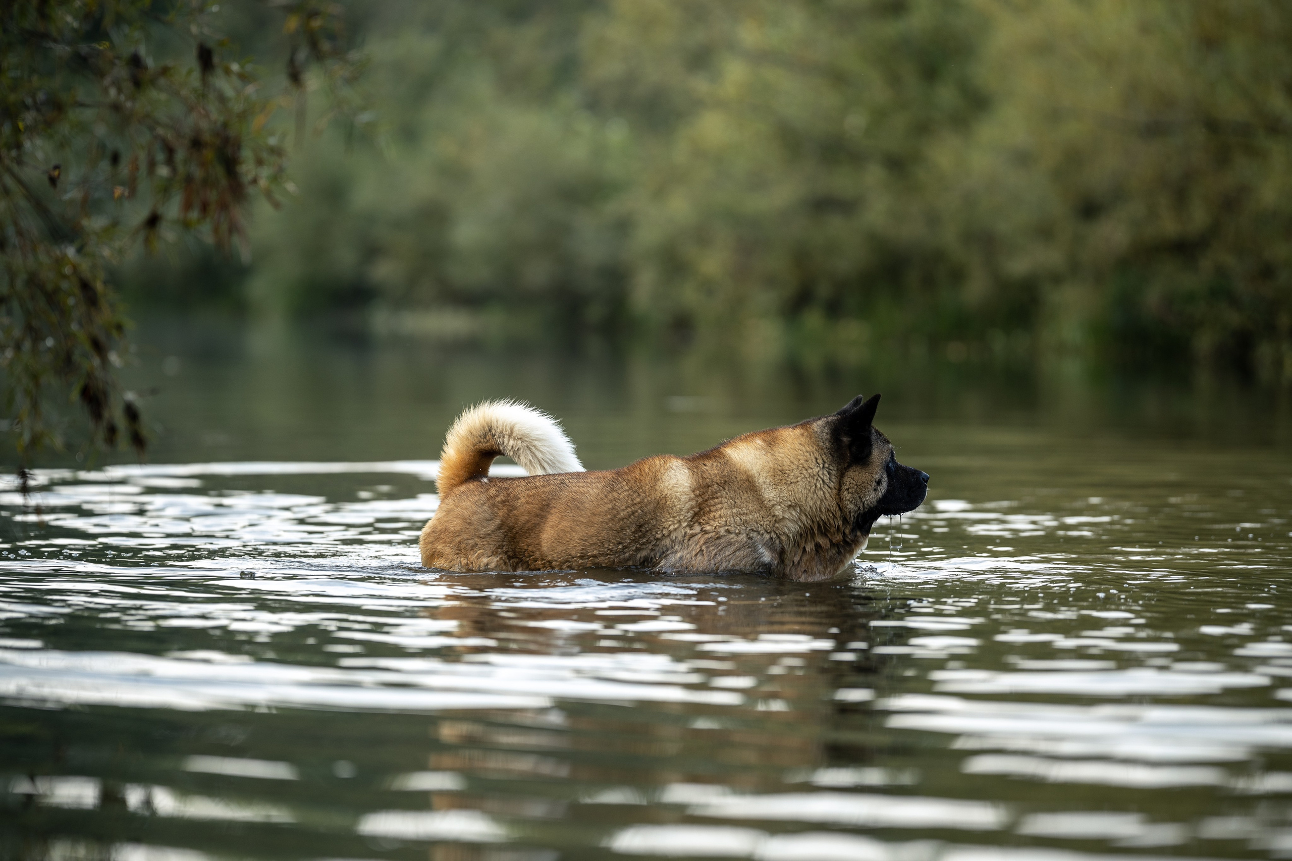 Природные пейзажи. Наталия Клевинскас портретный фотограф в Костроме