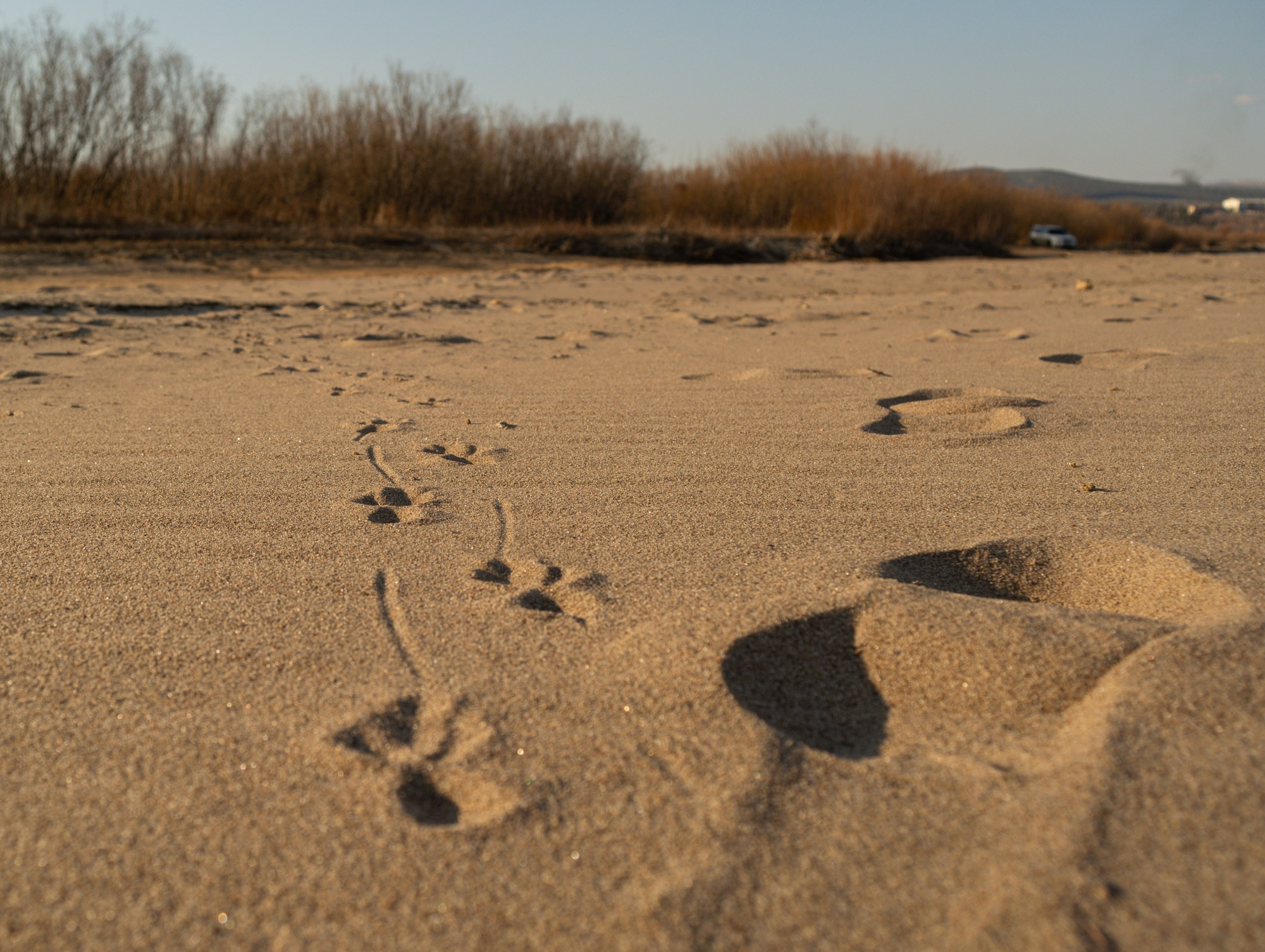 Разное. Репортажный фотограф г. Чита
