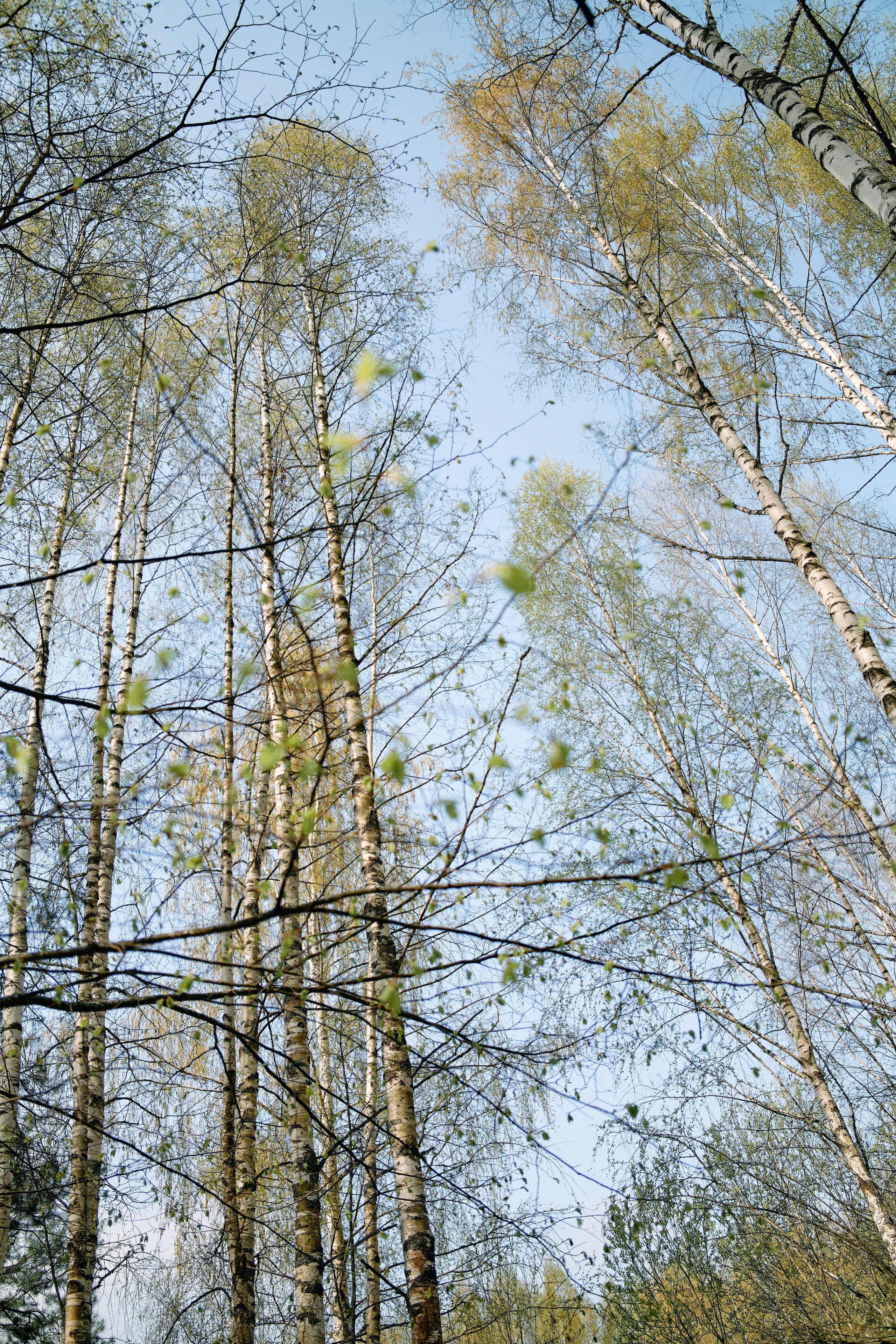 Бутик-отель Поле летом. Профессиональный Фотограф во Владимире, в Москве и в Суздале — Полина Романычева