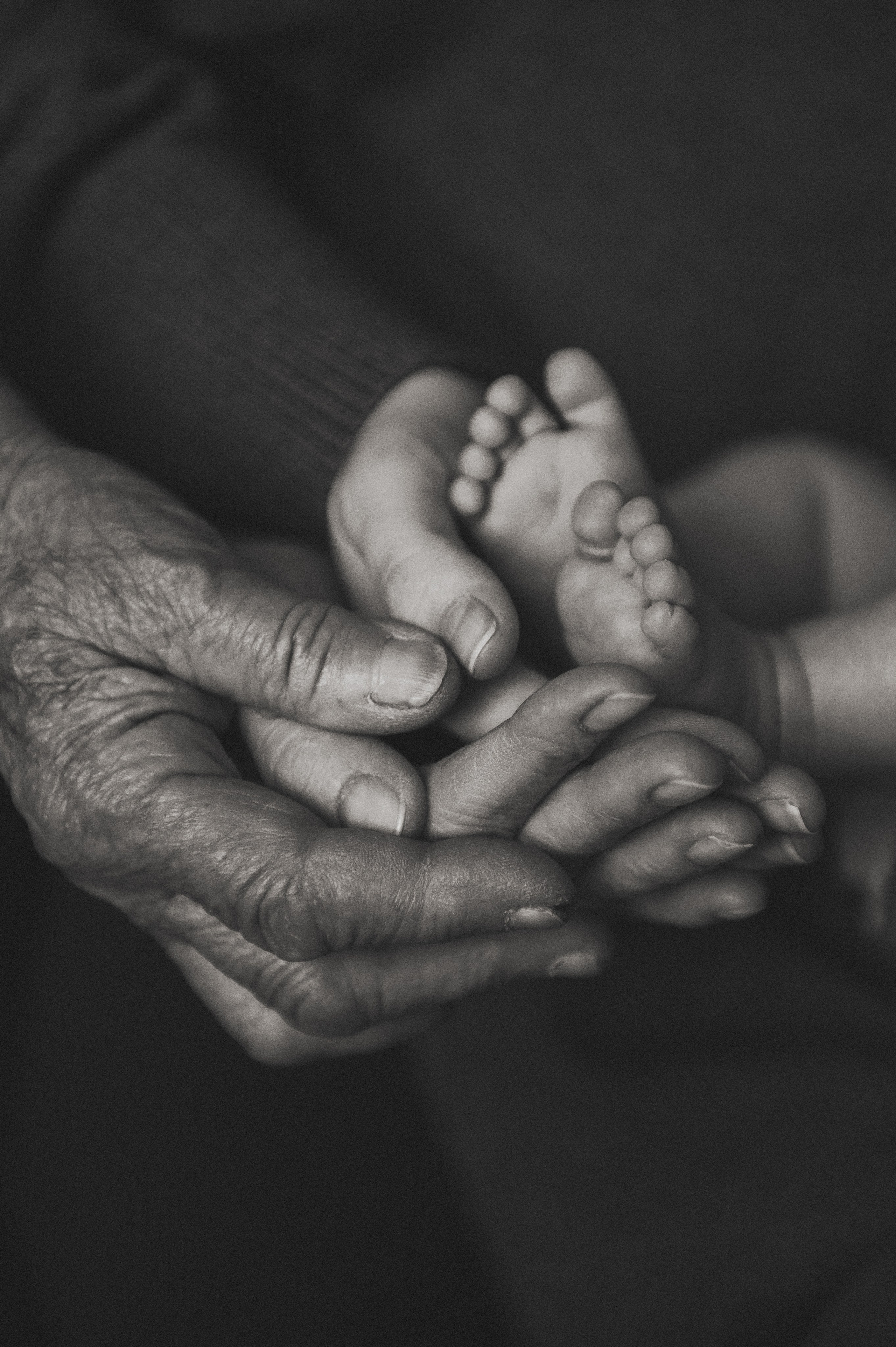 Домашняя съёмка «ПОКОЛЕНИЕ». Семейный фотограф в г. Ставрополь, Сорокина Мария