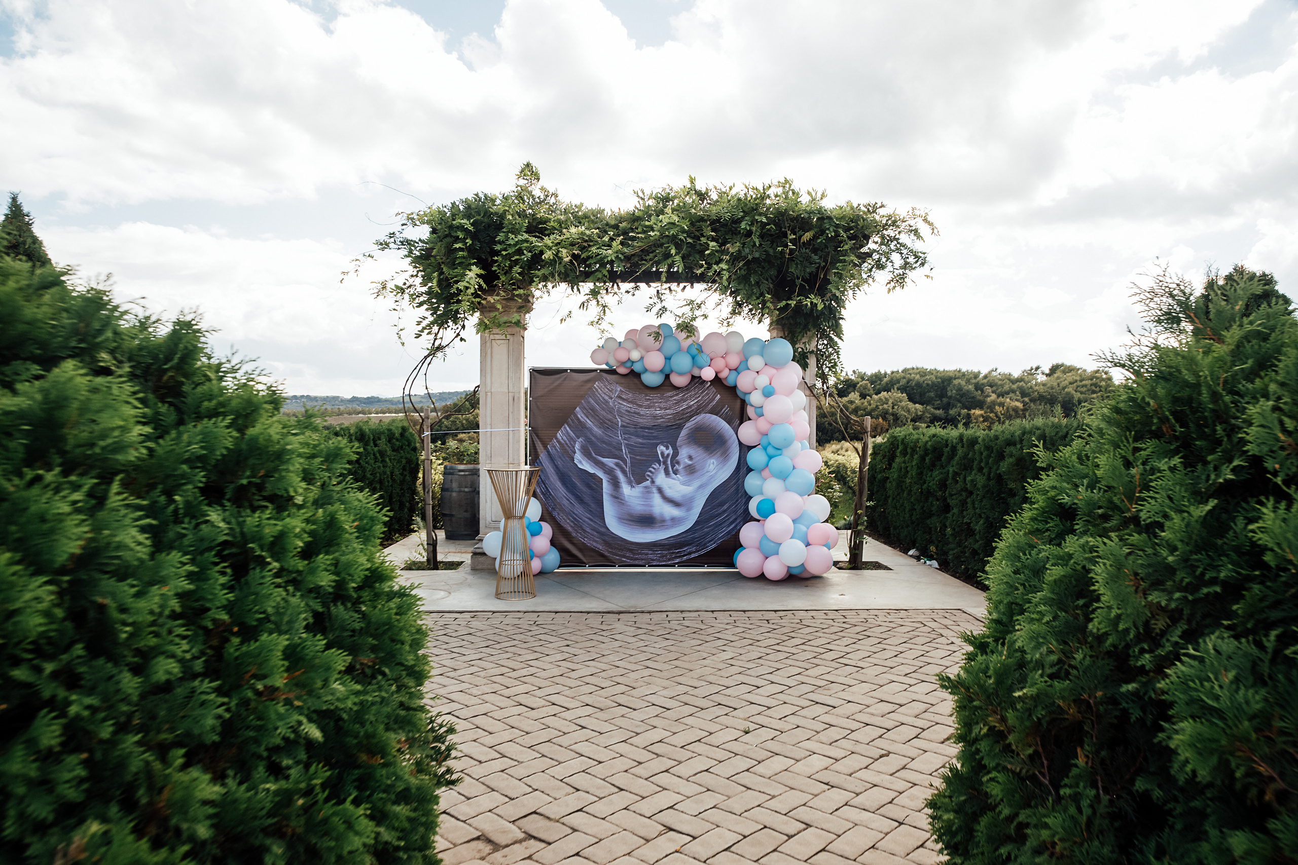 Gender reveal party. Свадебный и семейный фотограф/видеограф в Краснодаре Наталья Осинская