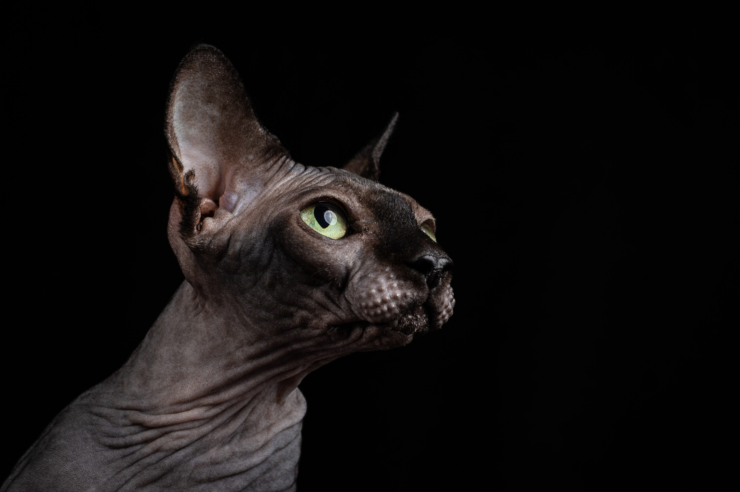 Alexandrovna photography