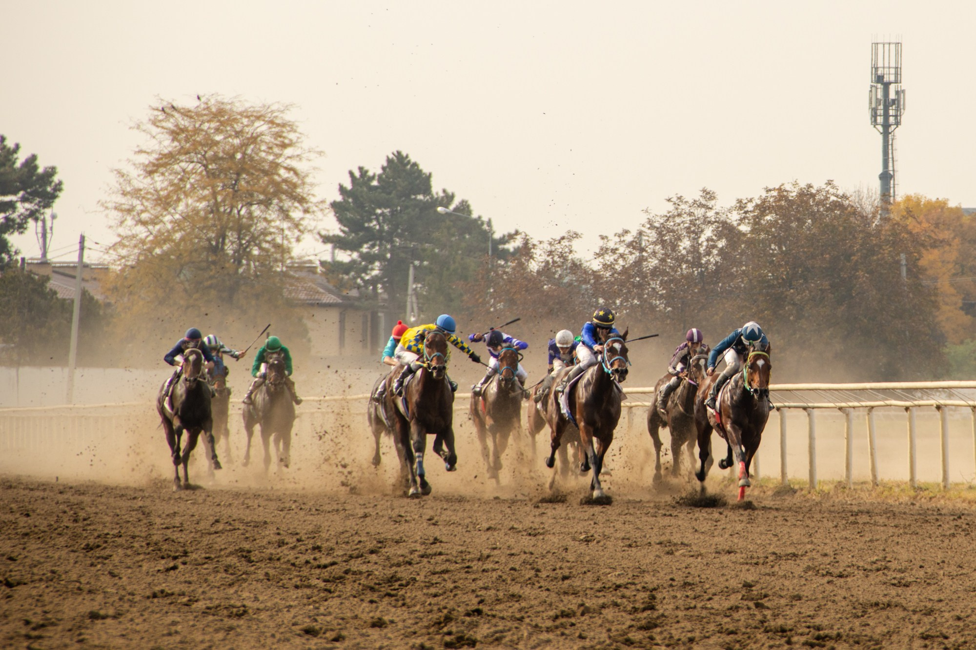 Закрытие скакового сезона на Краснодарском ипподроме. Репортажный, промышленный и маркетплейс-фотограф Дмитрий Чернат