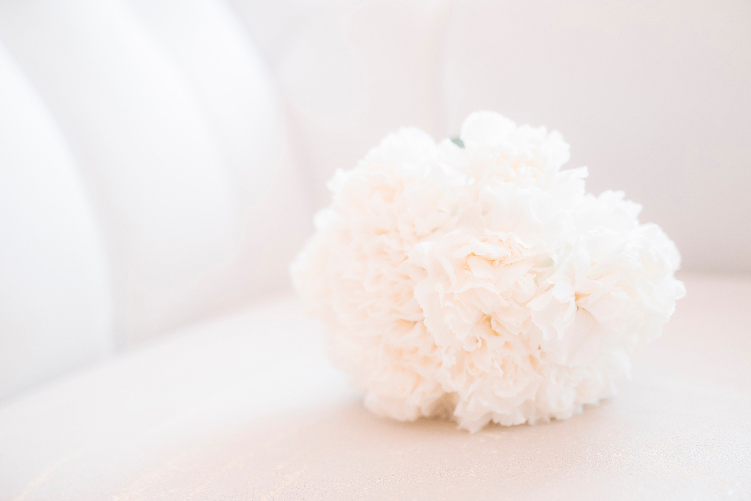 Алексей и Кристина. Идейный фотограф Пенза