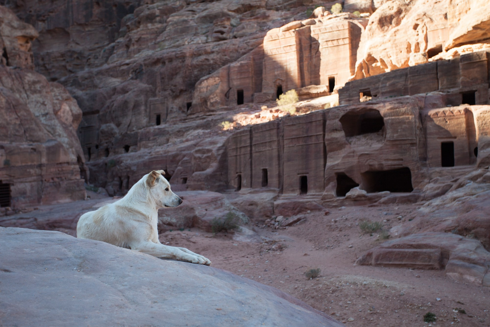 Иордания. Фотограф Алексей Скоробогатько