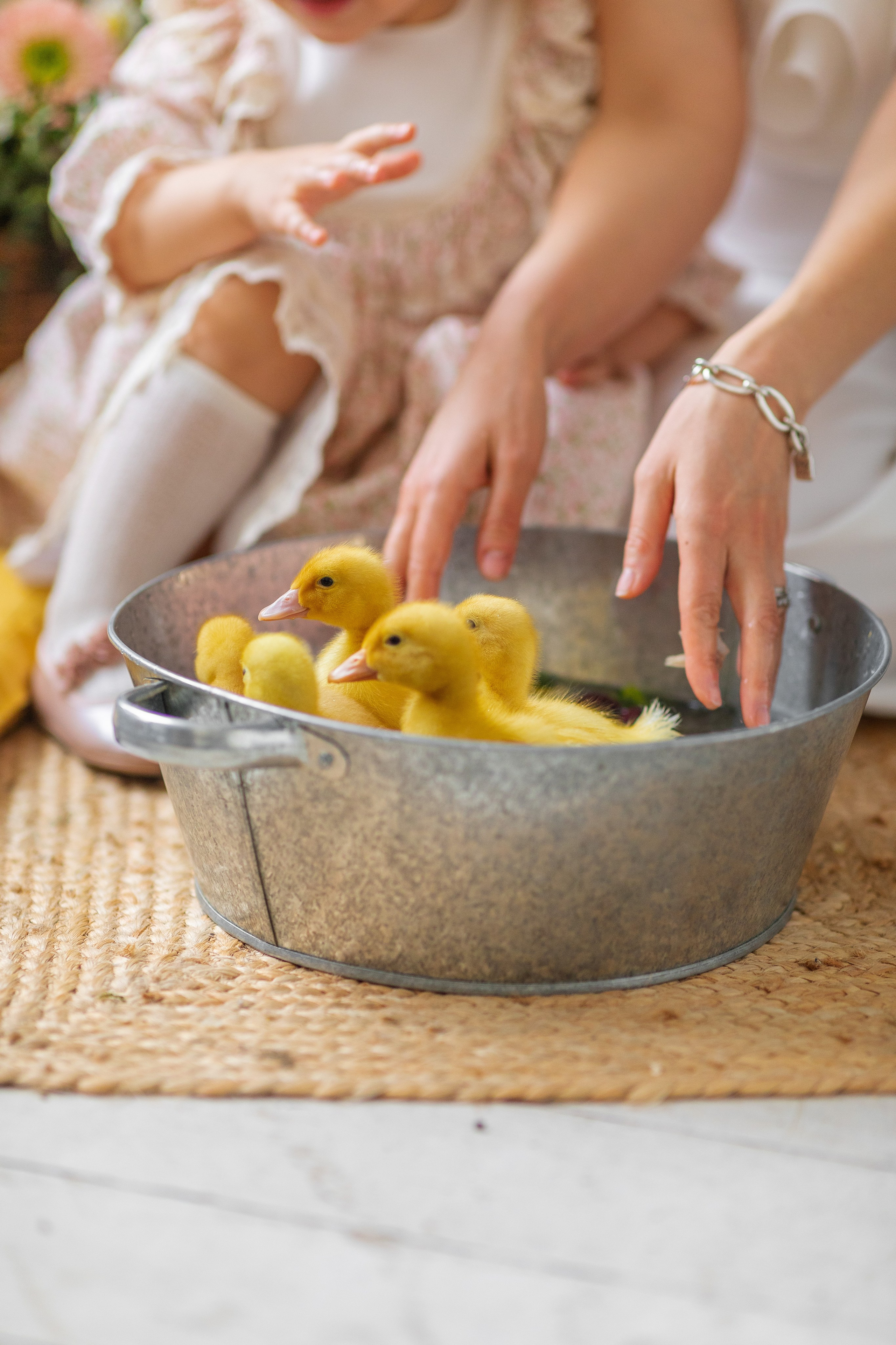 С животными. A.Novinskaya