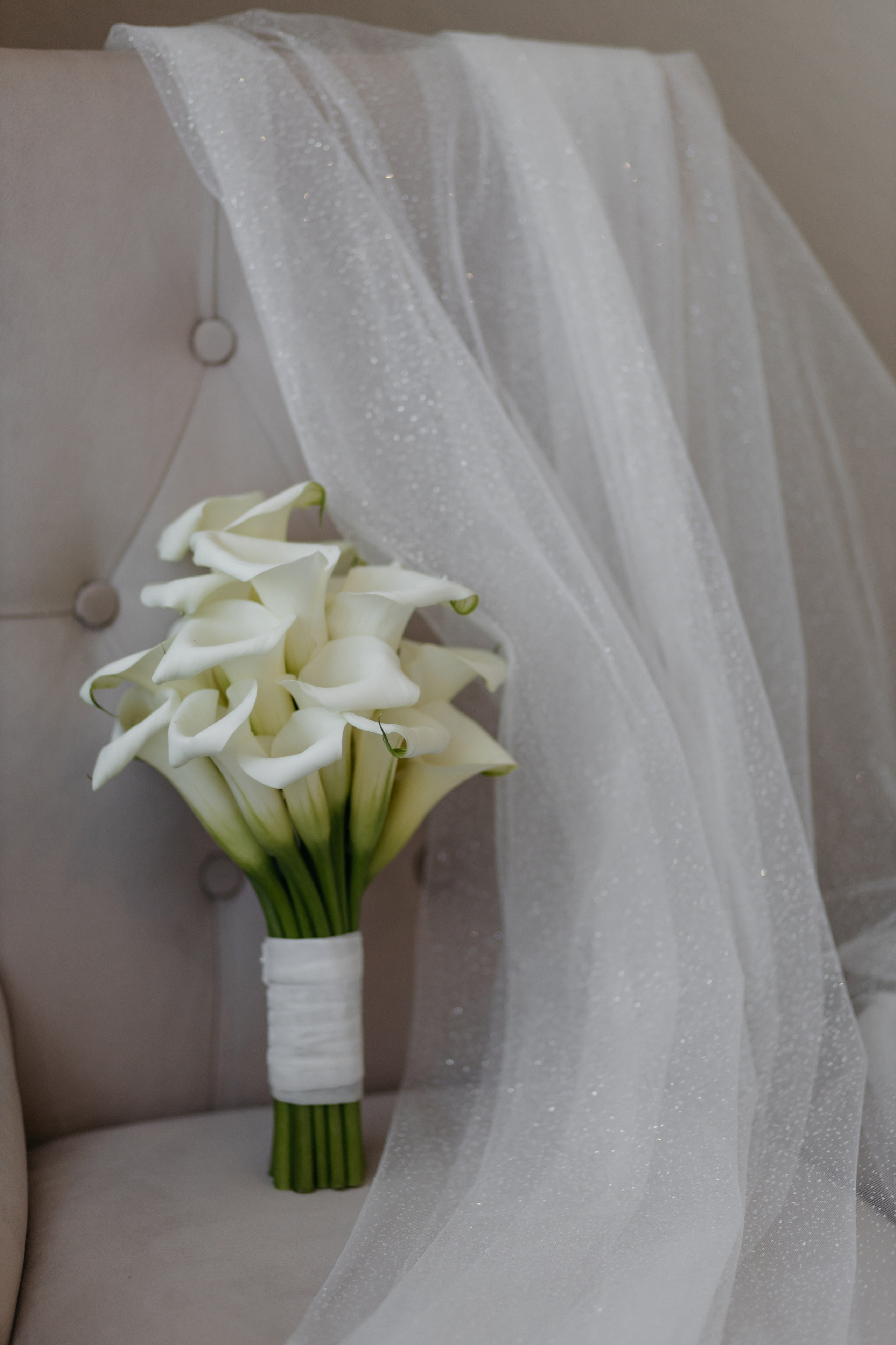 Валерия и Дмитрий. Свадебный фотограф в Пскове и Санкт-Петербурге | Анна Голикова